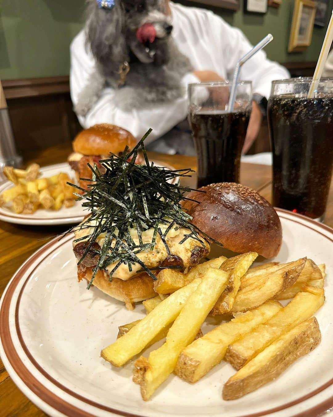 Mai Wakimizuのインスタグラム：「今日はハンバーガーlunch♡ @tan__0212がお勧めされていたのを見て行ってきました！お散歩がてら早めに行こー！とopenの15分前に着くと既に3.4組並んでいて慌てて並んだ。笑 店内はワンちゃんもokで、大人2子ども2犬2の大家族で頂きました♡笑 お店の看板メニュー、山椒バター磯辺バーガー♡バーガーも美味しかったけどポテトがめちゃくちゃ好き！ハンバーガーからこぼれ落ちるソースにディップするのが最高だった＼(^o^)／ 2枚目、lunch前に参拝した生田神社のゲーム景品でもらったお面姿の息子。笑 #wakkingourmet#hyoesburgersnfries#ハンバーガー#神戸 #3歳4ヶ月#3歳男の子#愛犬カプリ#愛犬ラルフ#犬のいる暮らし」