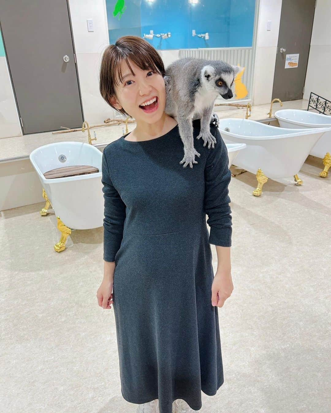 矢端名結のインスタグラム：「この前、お台場に夏にオープンした動物と触れ合える施設があって覗いたら『伊豆シャボテン公園プロデュース』って書いてあったから嬉しくて思わず家族で入ってしまいました☺️💓 思った以上に色んな動物と触れ合えて超楽しかったです！ 特に2枚目のおさるの『マロン』の手の感触がぷにぷにで可愛かったー🐒💓 夫ははビビってヒヨコしか触れなかったよ👶🏻  #お台場 #アニタッチ #伊豆シャボテン公園  #ハニーベア #うさぎ #カピバラ #アヒル #ヒヨコ #リス」