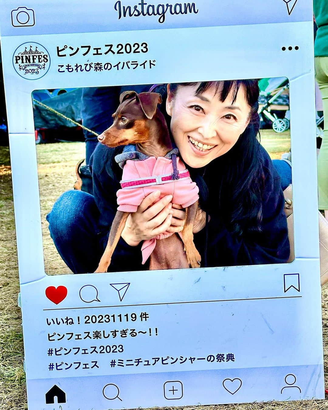 金月真美さんのインスタグラム写真 - (金月真美Instagram)「念願のPINFESに行って参りました あんなに沢山のミニチュアピンシャーに 会えるなんて💕  前日の鬼怒川の冬の寒さが嘘のように、暑いくらいの1日  最高に楽しかったです  #pinfes2023  #miniaturepinschersofinstagram  #金月真美」11月19日 21時41分 - mami_kingetsu