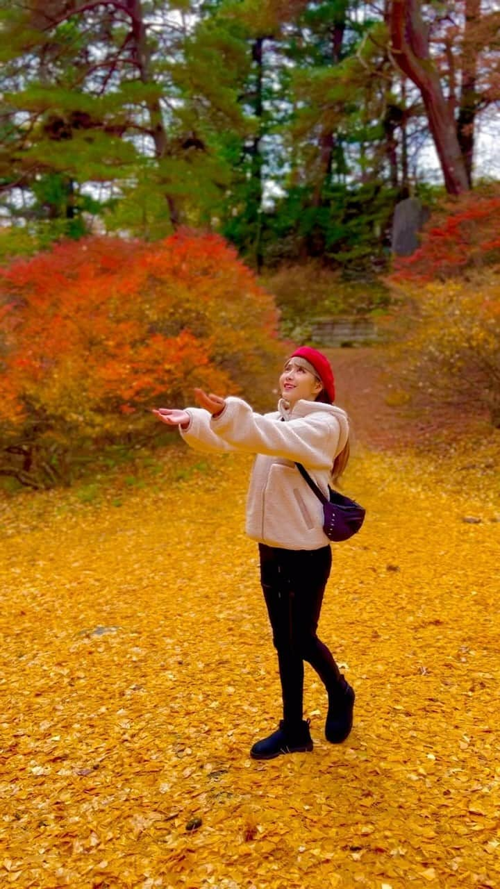 サラ・オレインのインスタグラム：「紅葉と雪 Best of both worlds?🍁❄️  #白馬 #長野 #Nagano #Hakuba #violin #ヴァイオリン #violinist #japan #japon #sarahalainn #サラオレイン #サラスタイル #sarahstyling #bringthesnow #temple #お寺 #大町市 #霊松寺本堂 #Omachi #Omachijuku」