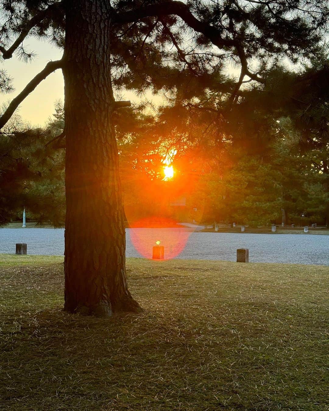 青山有紀さんのインスタグラム写真 - (青山有紀Instagram)「京都御所に「ただいま！」のご挨拶✨ @little__eagle のロウシルクの藍染ジャケットが軽くて暖かい。ボタンはターコイズ💙」11月19日 16時55分 - yukiaoya