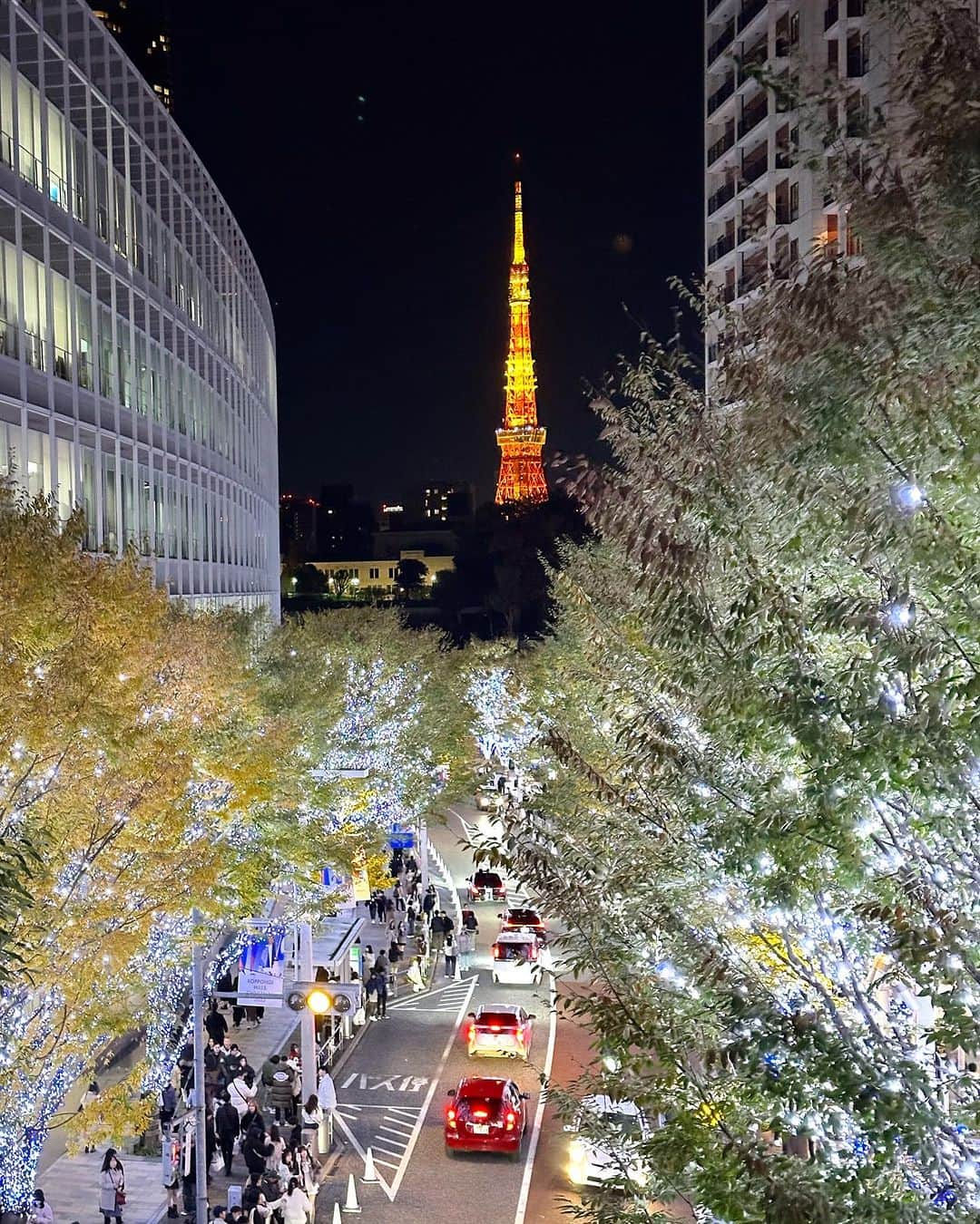 アンミカのインスタグラム：「けやき坂もイルミネーションが始まりました✨気分はクリスマス🎄✨  やっと体感も冬ですね⛄  久しぶりに旦那様の　@theodoremillertokyo と、映画デート🎞️  marvelのヒーロー系が大好きなので、【マーベルズ】を見て参りましたよ🎞️ パク・ソジュンなの登場に驚き✨ 誰も見たことのない要素が詰まったマーベルの映画です‼️  帰りはイルミネーションを歩いてお散歩デート❤️  心も深呼吸できた貴重な時間でした🤍」