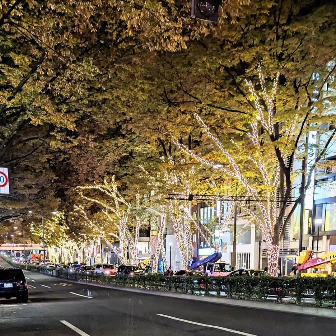 平井富子さんのインスタグラム写真 - (平井富子Instagram)「昨日、９時半ぐらいに表参道通ったら、イルミネーションが、点灯してた。キレイ〜 まだ、試験中ですが、、 ワクワクしますね～」11月19日 17時14分 - enchantewithd