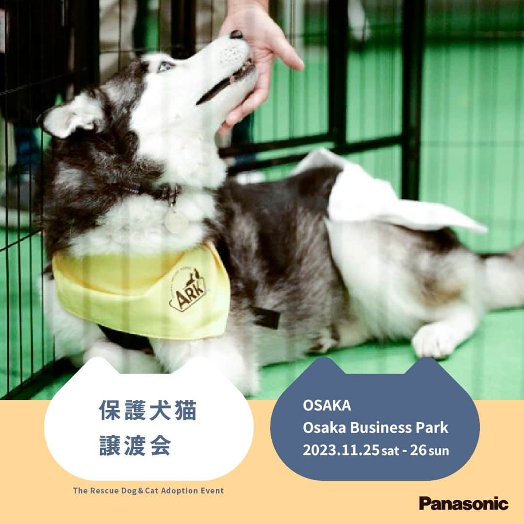 sippoさんのインスタグラム写真 - (sippoInstagram)「いよいよ11/25-26に大阪で初開催です。  猫さんも犬さんもたくさんご参加されます。見学のみも可能です💪  事前予約枠についても随時キャンセル対応しておりますので、申し込みページ、適宜ご確認いただけますと幸いです。  #パナソニック保護犬猫譲渡会　 #保護犬　＃保護猫  主催Panasonic、協力sippo  11月25日の事前予約枠はこちら↓ https://peatix.com/event/3723528  11月26日の事前予約枠はこちら↓ https://peatix.com/event/3723530」11月19日 17時17分 - sippo_official