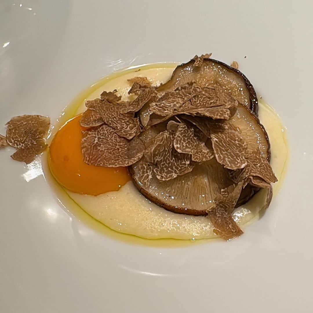 山岸久朗さんのインスタグラム写真 - (山岸久朗Instagram)「大阪に古田シェフが降臨‼️  東京の名店「チウネ」の古田シェフが今だけ大阪の福島区で期間限定レストランをすると聞いて速攻で行きました。  それも、白トリュフやら蟹やらの特別バージョン。味もお値段も超一流…まさに洗練の極み。それが近所の福島区で食べられるとは…  #チウネ #chiune #古田諭史  #白トリュフ #白松露 #whitetruffle  #tartufobianco  #truffeblanche  #ทรัฟเฟิลขาว #화이트트뤼플」11月19日 17時20分 - yamaben