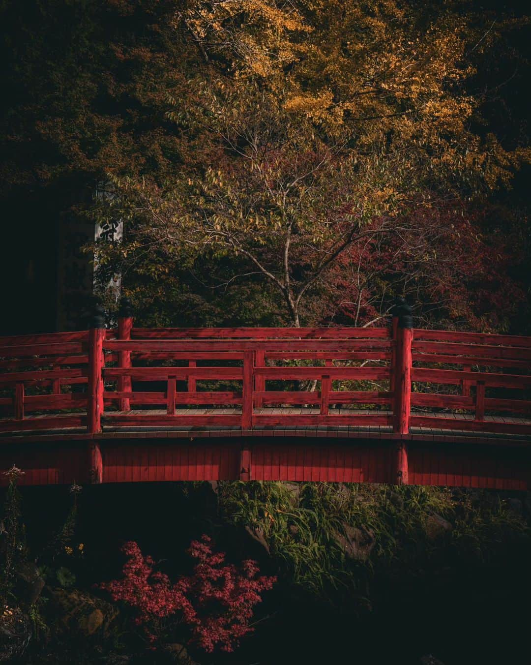 鹿児島よかもん再発見さんのインスタグラム写真 - (鹿児島よかもん再発見Instagram)「いちき串木野市の冠岳神社付近にて＼(^o^) R5/11/18  橋の上に和服のモデルが欲しくなった構図  そろそろ侍写真を再開しようかとも思っています  #鹿児島 #鹿児島観光 #いちき串木野市 #冠獄園  #冠岳神社 #紅葉 #鹿児島の風景  #鹿児島の自然  #kagoshima  #kagoshimaphoto  #kagoshimaphotograph  #kyushu」11月19日 17時36分 - kagoshimayokamon