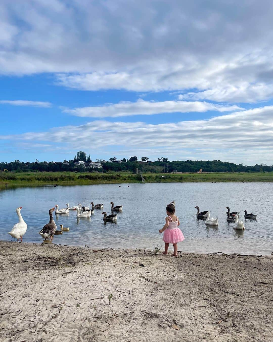 ELOUISE MORRISさんのインスタグラム写真 - (ELOUISE MORRISInstagram)「A true wonderland ✨ celebrating Elka Swans 1st birthday party ✨🩷🦢🎂🦄🐣🦚✨」11月19日 17時42分 - ellemorrisxo