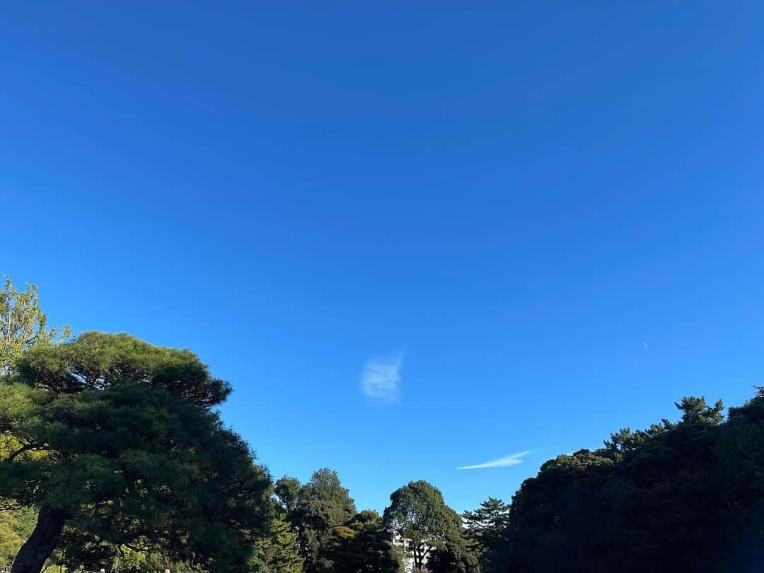 樹里咲穂のインスタグラム