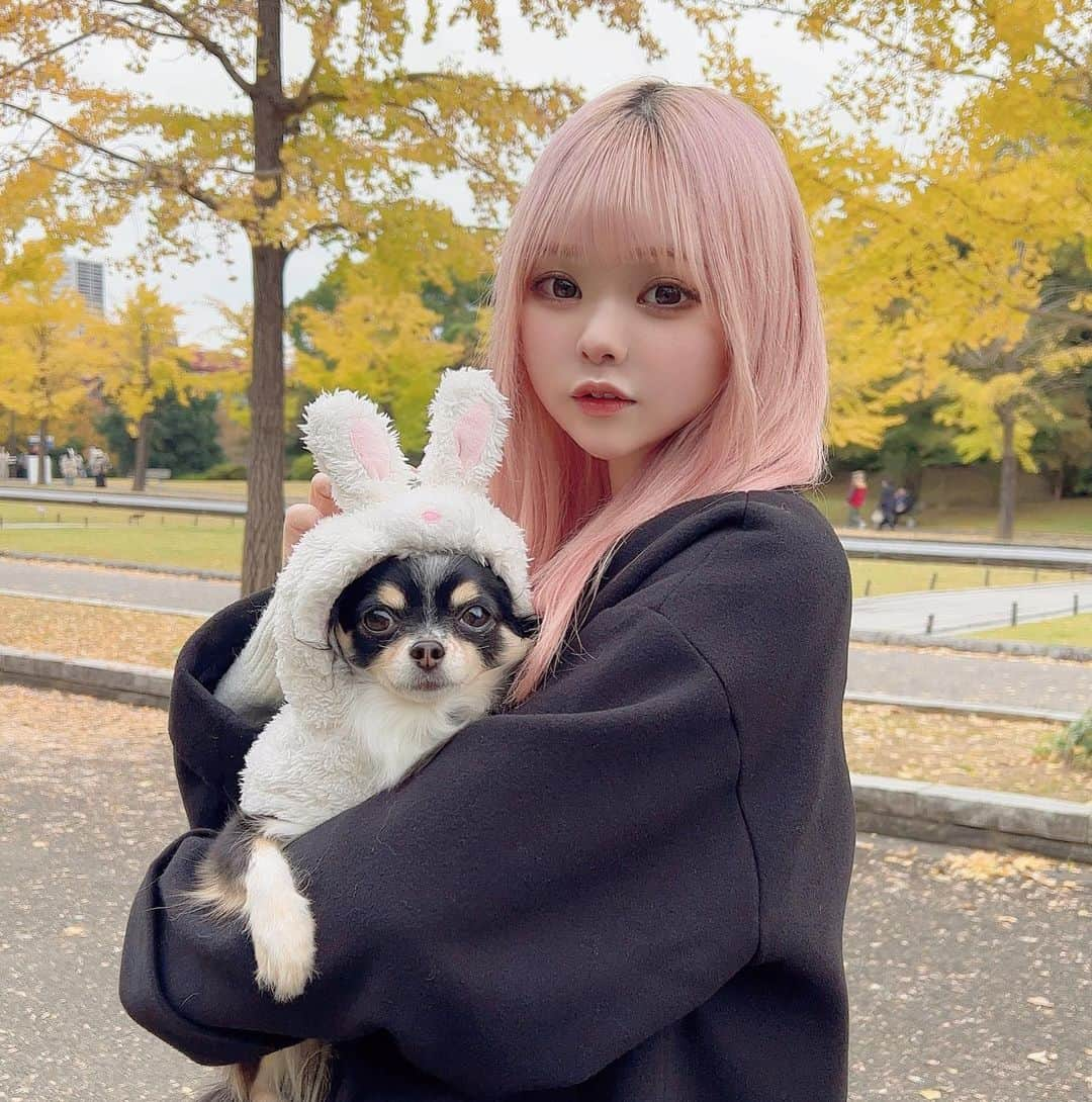 りゅなりさのインスタグラム：「໒꒱ ⁡ 最近のお気に入り📷‎⁦♡♡ ⁡ 紅葉とか普段見に行かんけど めっちゃきれかった〜(ˊ⸝⸝o̴̶̷ ̫ o̴̶̷⸝⸝ˋ)！ ⁡ ⁡」