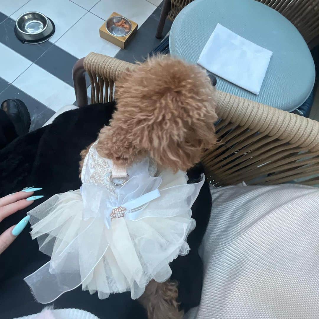 WAKANAさんのインスタグラム写真 - (WAKANAInstagram)「Kimpton Shinjuku🌞」11月19日 18時07分 - 0220_____25