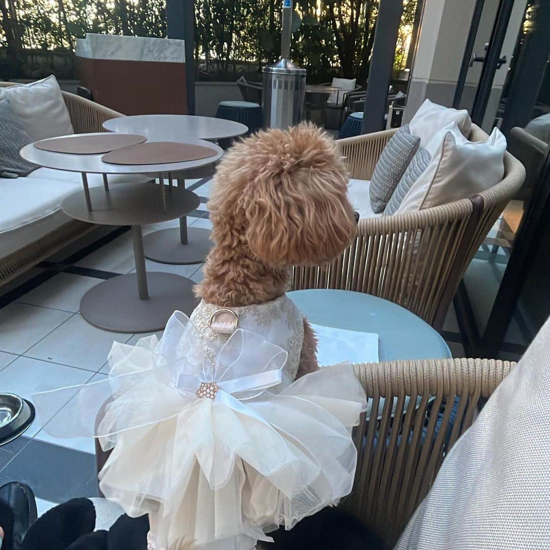 WAKANAさんのインスタグラム写真 - (WAKANAInstagram)「Kimpton Shinjuku🌞」11月19日 18時07分 - 0220_____25