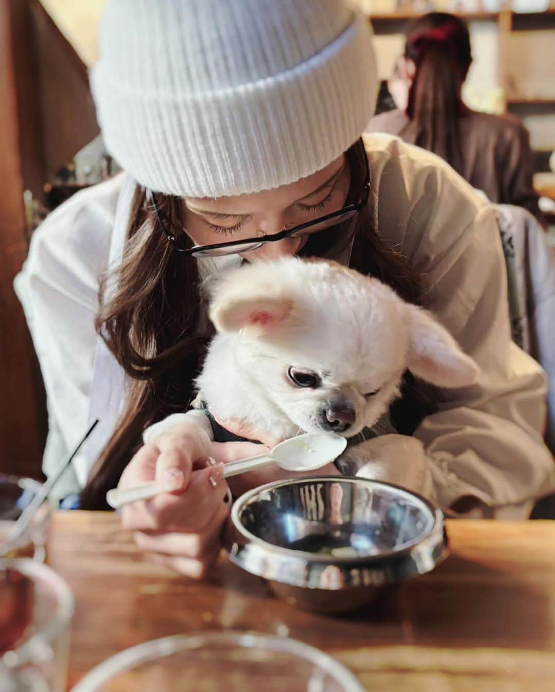 星奈あいさんのインスタグラム写真 - (星奈あいInstagram)「ゆあちとだいふくと ランチしてお散歩🐶🎶🎶  ドッグランはわんちゃんたくさんいて かわいかったし お家に帰れば猫様がいて ほわほわな気持ち〜✧  #わんことお出かけ  #星奈あい」11月19日 18時00分 - hoshina_r18