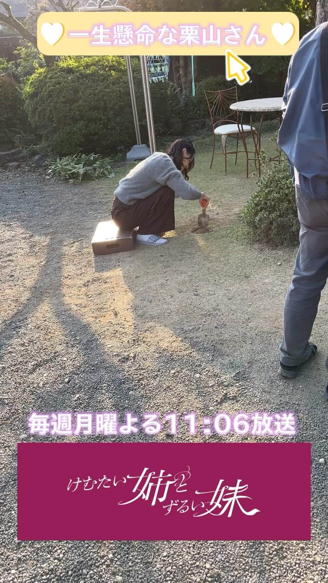 けむたい姉とずるい妹のインスタグラム：「. 一生懸命穴を掘る #栗山千明 さんの姿を 隠し撮り📸 いつ出てくるシーンなのか… お楽しみに💟  ／ 『#けむたい姉とずるい妹 』 第7話は明日！ 11/20(月)夜11:06放送🪄 ＼  見逃し配信は #TVer で🎗 tver.jp/episodes/epm9l1zwyc  U-NEXTなどで全話配信中💠  #テレビ東京 #けむずる  #栗山千明 #馬場ふみか #栁俊太郎  #桜田通 #雛形あきこ」