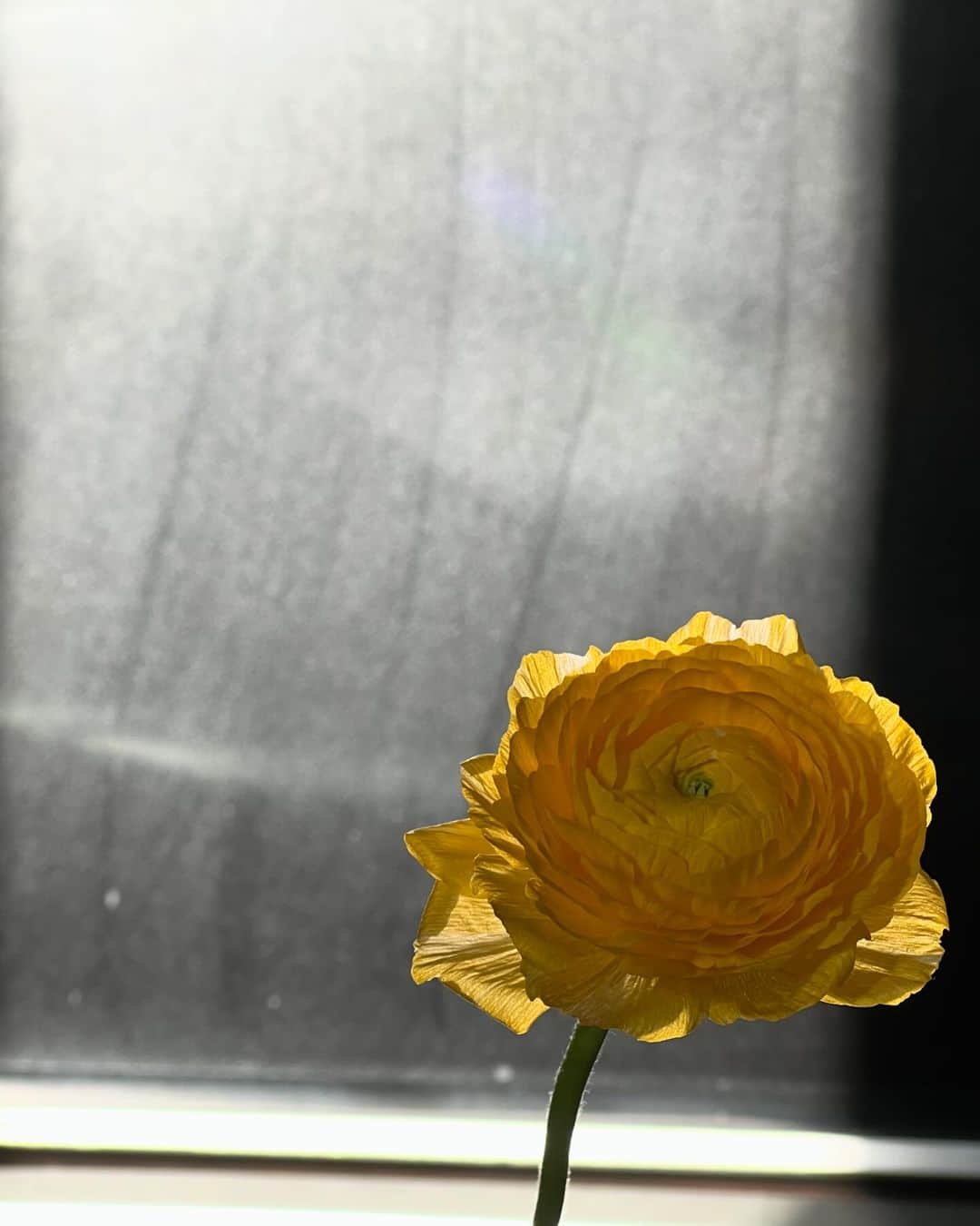 内田朝陽のインスタグラム