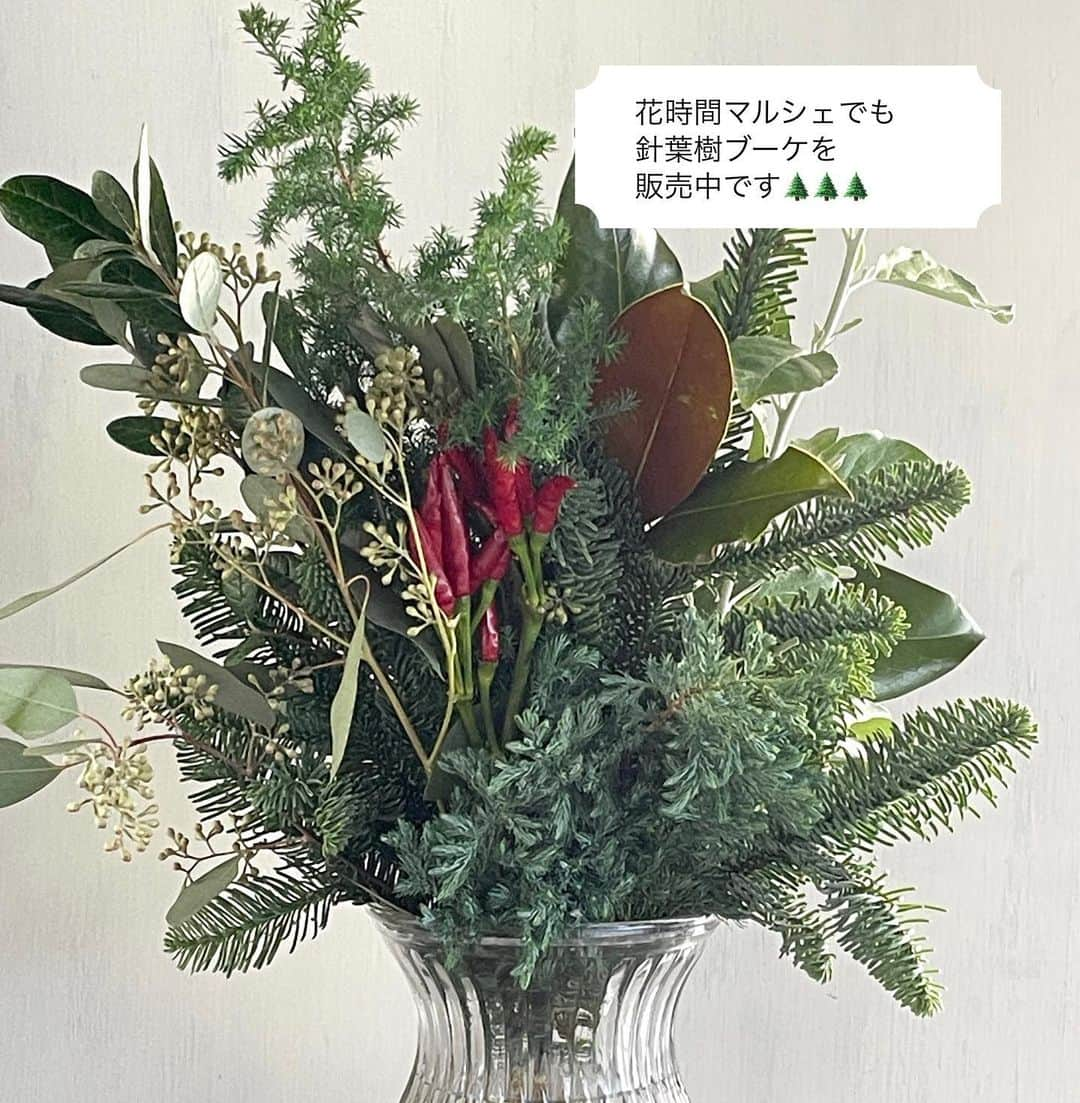 雑誌『花時間』さんのインスタグラム写真 - (雑誌『花時間』Instagram)「お花屋さんを覗くと、すっかりクリスマスモード🎄🎄🎄　うきうきしますね🎵  花時間（@hanajikan_magazine）です。  針葉樹にお花を合わせるなら、出回り始めた春の花！  ラナンキュラスやチューリップ、スイートピー……。意外にぴったりなんです。  太陽の再生を祝う冬至の祭りとキリストの生誕が融合し、始まったとされるクリスマス🌲  つまり、クリスマスは冬から春への切り替えポイント！　  寒さが本番になるなかでも、春の花を合わせると、みずみずしい生気が漂い、新しい年へのエネルギーをもらえそうです。  花時間マルシェで販売中のクリスマスブーケには針葉樹とグリーン、お花1本が入っています。  好きなお花を合わせて、ぜひ、飾ってみてくださいね🌲  クリスマスブーケの詳細は、ストーリーズでご覧ください。  では、本日もお疲れさまでした🍵　明日からの1週間も元気smile😊😊😊で頑張りましょう！ byピーターパン  花　@country_harvest_ch  写真　@tanabe32   【花時間ニュース】 💜『花時間マルシェ』発、花の定期便が大好評🥰　世界でここだけのバラと旬花が届く嬉しいサービスです💕  💜『花時間』の2024年カレンダー、大好評発売中！  💜『花時間2023秋』〈花屋さんへ行こう〉大好評発売中！  💜『花と短歌でめぐる 二十四節気 花のこよみ』大好評発売中  すべて @hanajikan_magazine のプロフィールのリンクから飛べます✈️  『花時間』本誌や書籍は全国の書店、ネット書店でも発売中✨  #花時間  #フラワーアレンジ #クリスマス準備 #クリスマスアレンジ  #針葉樹  #花が好き #花が好きな人と繋がりたい  #花を飾る  #花を飾る生活 #花屋さんへ行こう」11月19日 18時10分 - hanajikan_magazine