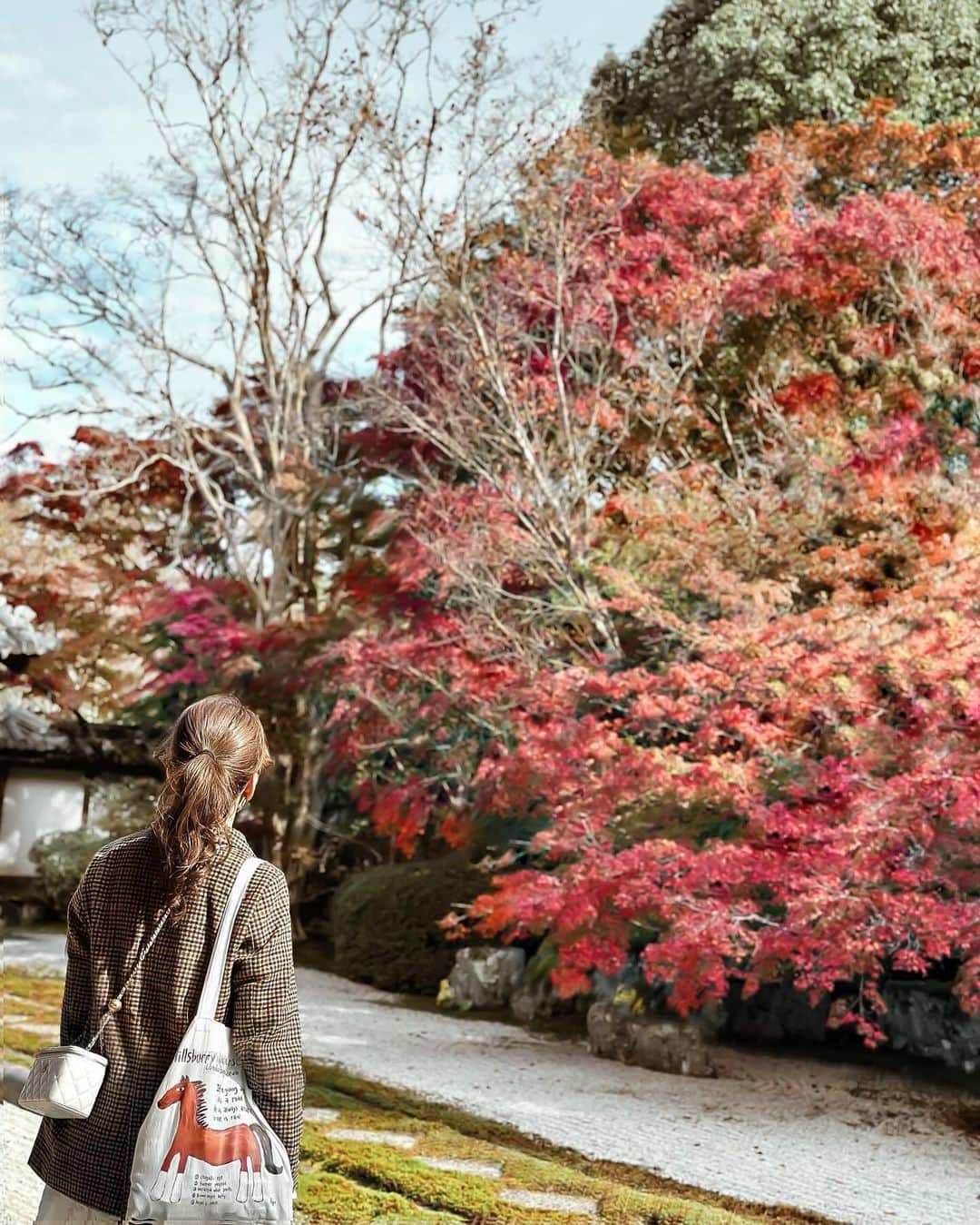 Yukicoのインスタグラム：「‥  @yukicolifecom  おじさんコーデでちょっと寄り道した ひとコマ🍂🍂  𝐊𝐘𝐎𝐓𝐎 𝐉𝐀𝐏𝐀𝐍🍁　 𝑁𝑎𝑛𝑧𝑒𝑛𝑗𝑖 𝑇𝑒𝑚𝑝𝑙𝑒 𝘕𝘢𝘯𝘻𝘦𝘯-𝘫𝘪 𝘛𝘦𝘮𝘱𝘭𝘦, 𝘭𝘰𝘤𝘢𝘵𝘦𝘥 𝘢𝘵 𝘵𝘩𝘦 𝘣𝘢𝘴𝘦 𝘰𝘧 𝘵𝘩𝘦 𝘧𝘰𝘳𝘦𝘴𝘵𝘦𝘥 𝘏𝘪𝘨𝘢𝘴𝘩𝘪𝘺𝘢𝘮𝘢 𝘮𝘰𝘶𝘯𝘵𝘢𝘪𝘯𝘴 𝘪𝘯 𝘒𝘺𝘰𝘵𝘰, 𝘪𝘴 𝘰𝘯𝘦 𝘰𝘧 𝘵𝘩𝘦 𝘮𝘰𝘴𝘵 𝘳𝘦𝘯𝘰𝘸𝘯𝘦𝘥 𝘡𝘦𝘯 𝘉𝘶𝘥𝘥𝘩𝘪𝘴𝘵 𝘵𝘦𝘮𝘱𝘭𝘦𝘴 𝘪𝘯 𝘑𝘢𝘱𝘢𝘯. 𝘛𝘦𝘯𝘫𝘶-𝘢𝘯 𝘴𝘶𝘣𝘵𝘦𝘮𝘱𝘭𝘦 𝘰𝘧 𝘕𝘢𝘯𝘻𝘦𝘯-𝘫𝘪 𝘛𝘦𝘮𝘱𝘭𝘦, 𝘒𝘺𝘰𝘵𝘰) 𝘐𝘮𝘱𝘰𝘳𝘵𝘢𝘯𝘵 𝘊𝘶𝘭𝘵𝘶𝘳𝘢𝘭 𝘗𝘳𝘰𝘱𝘦𝘳𝘵𝘺 1602  南禅寺天授庵　 日本で最も有名な禅宗の寺院のひとつ 京都東山の麓にある南禅寺  天授庵のお庭の絶景も 今年はちょっと残念かなと‥ 猛暑のせいで結構枯れちゃってました🍂  𝗡𝗮𝗻𝘇𝗲𝗻𝗷𝗶 𝗧𝗲𝗺𝗽𝗹𝗲 𝗡𝗮𝗻𝘇𝗲𝗻𝗷𝗶 𝗙𝘂𝗸𝘂𝗰𝗵𝗶-𝗰𝗵𝗼, 𝗦𝗮𝗸𝘆𝗼-𝗸𝘂, 𝗞𝘆𝗼𝘁𝗼-𝘀𝗵𝗶, 𝗞𝘆𝗼𝘁𝗼-𝗳𝘂 天授庵拝観料 500𝑦𝑒𝑛  #南禅寺天授庵  #南禅寺 #京都紅葉」