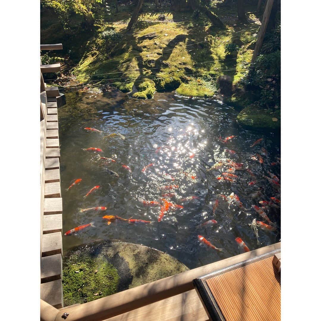 石橋静河さんのインスタグラム写真 - (石橋静河Instagram)「こころの窓」11月19日 18時24分 - shizuka_isbs