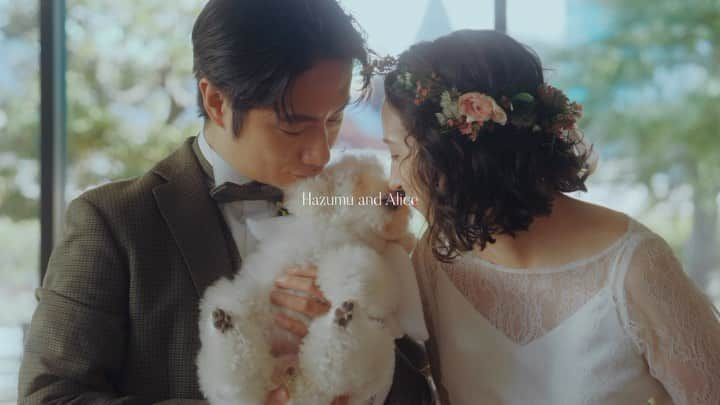 斉藤アリスのインスタグラム：「2023年11月18日、ペット参加型のウェディングをしました👰🏻‍♀️💒🤵🏻‍♂️🐶結婚して2年経った今、式をした理由は3ヶ月前に保護犬だったリリーを家族に迎えたから🐾  会場はリリーと私が出会ったEvergreen Ebisu☘️  @evergreen.pet.ebisu   エバーグリーンは 1階がカフェレストラン  2階が動物病院の複合施設です。 保護犬猫の譲渡にも力を入れています。  2ヶ月ほど前に社長の大塚さんから 「1階のレストランでペットも一緒に 参加できるウェディングをやりたい。 リリーと一緒にモデルになってくれませんか？」 と声をかけていただいたのがきっかけです。  結婚してから式を挙げていないことを伝えると、 「じゃあ実際に式をしちゃいましょう」 と言っていただき...この計画がスタートしました。  それからウェディングプランナーのナナコさん( @nanaco.1029 )に出会い、 ドレスを選びに表参道「ベネデッタ」へ👗 @dress_benedetta   そこにはパンツタイプの珍しいドレスもあり、 不思議に思って質問をすると、 「LGBTQの人も含め、 本当に着たい衣装を着れるように」とのことでした。  ナナコさん自身が同性カップルさんとして 様々なイベントやYouTubeで活躍しているのと同時に、LDBTQの方のウェディングの プランニングも手掛けていると知りました。  LGBTQの方に限らずですが、 私たち夫婦のように愛犬を我が子 同然に可愛がっている人にとって、 ペットの参加できるウェディングは 本当の意味で家族揃って過ごせる式です。  ただの「犬かわいい💕」ではなく そういった深い意味があるのだと知り、 ますますこの計画に対して 真剣に取り組むようになりました。  当日は、旦那さん、私に続き、 天使の羽をつけたリリーも バージンロードを歩きました🐩✨  指輪の交換の代わりに、首輪の贈呈。 結婚立会人のサインは リリーの肉球でスタンプ🐾 (舐めても大丈夫なインクで🙆🏻‍♀️)  リリーを挟んで誓いのキスをしたり リリーもケーキの ファーストバイトに参加したり🎂  当日参加できないワンちゃん、 猫ちゃん、鳥さんはイラストで🦜 お空へ旅立った子たちもイラストで 参加しました🌈✨  そして参加してくれた35人の全員に 友人代表スピーチをしてもらいました。  結婚式に来てくれた人が みんな知り合いになってくれて、 「あの人だれ？？」 をなくすのが目的でした。  あちこちで自然と会話が生まれる様子を見て、 つくづく全員のスピーチをしてよかった！ と思いました😊  最後は2階でまだ里親を募集している 保護猫ちゃんを愛でてくれたり🐈 終始和やかな雰囲気で終了。  エバーグリーンはガラス張りの建物で 緑の公園に囲まれているので、 ワンちゃんが外でオシッコ休憩したり 仲良くなった子供同士が外で走り回ったり ペットウェディングにはぴったりの ロケーションだな、と思いました。  詳細はエバーグリーンの公式SNSに ( @evergreen.pet.ebisu ) アップされると思うので、 気になる人はぜひチェックしてください💛  produce by @tiplog_wedding   #エバーグリーンペット #everygreenpet #恵比寿ペット #恵比寿動物病院 #保護犬 #petwedding #ペットウェディング #ウェディング  #結婚式 #式場 #式場見学 #式場探し」