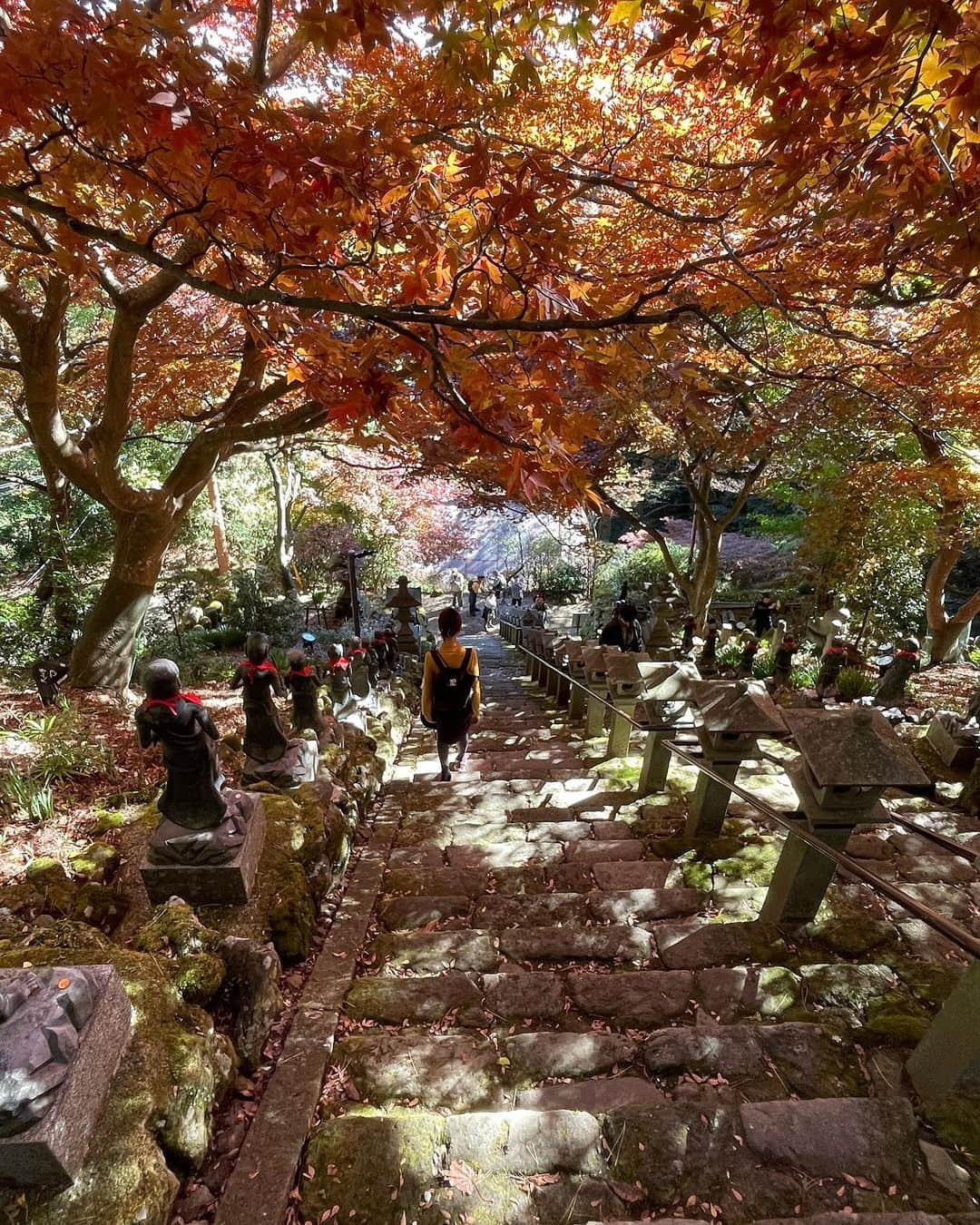 MICHIRUのインスタグラム：「. 朝起きたらあまりの天気の良さに久しぶりに大山トレッキング🍁 相模湾はすっきりクリアで遠くまで見渡せるほど雲一つない秋晴れ。 最高の山日和でした😊  都心からのアクセスの良さと体力に合わせて丹沢はコースがいろいろ選べるのと四季折々の山の美しさが魅力。 平日に山登ってお昼に豆腐料理食べて帰りに温泉のフルコースが本当はベスト。 土日は人手の多さと渋滞、あとは駐車場が少ないのがネックです。 今朝はサクッと行ってお昼には下山してお蕎麦食べてのクイックコース、帰りは渋滞もなくスイスイと 都内に１時間かからないで帰ってきました。  今週は夜のライトアップもあって週末は紅葉がピークになりそう。真っ赤な紅葉は圧巻の美しさです✨  トレッキングしている時はほぼ瞑想状態です。いらない雑念がさ〜っと流れて頭すっきりです。 ふっとしたときにアイデアが出てくるのもこんな状態の時。 呼吸を意識して自然と一体化するような”今ここ”の感覚がとにかく気持ちいいのです。 空の色、木漏れ日の美しさ、紅葉のグラデーション、鳥のさえずり、風の音、土の感触、自然からのメッセージがあちらこちらからやってきます。  やっぱ山はいいなあ〜。  #大山トレッキング　#トレッキング　##丹沢　#マインドフルネス登山　#歩く瞑想」