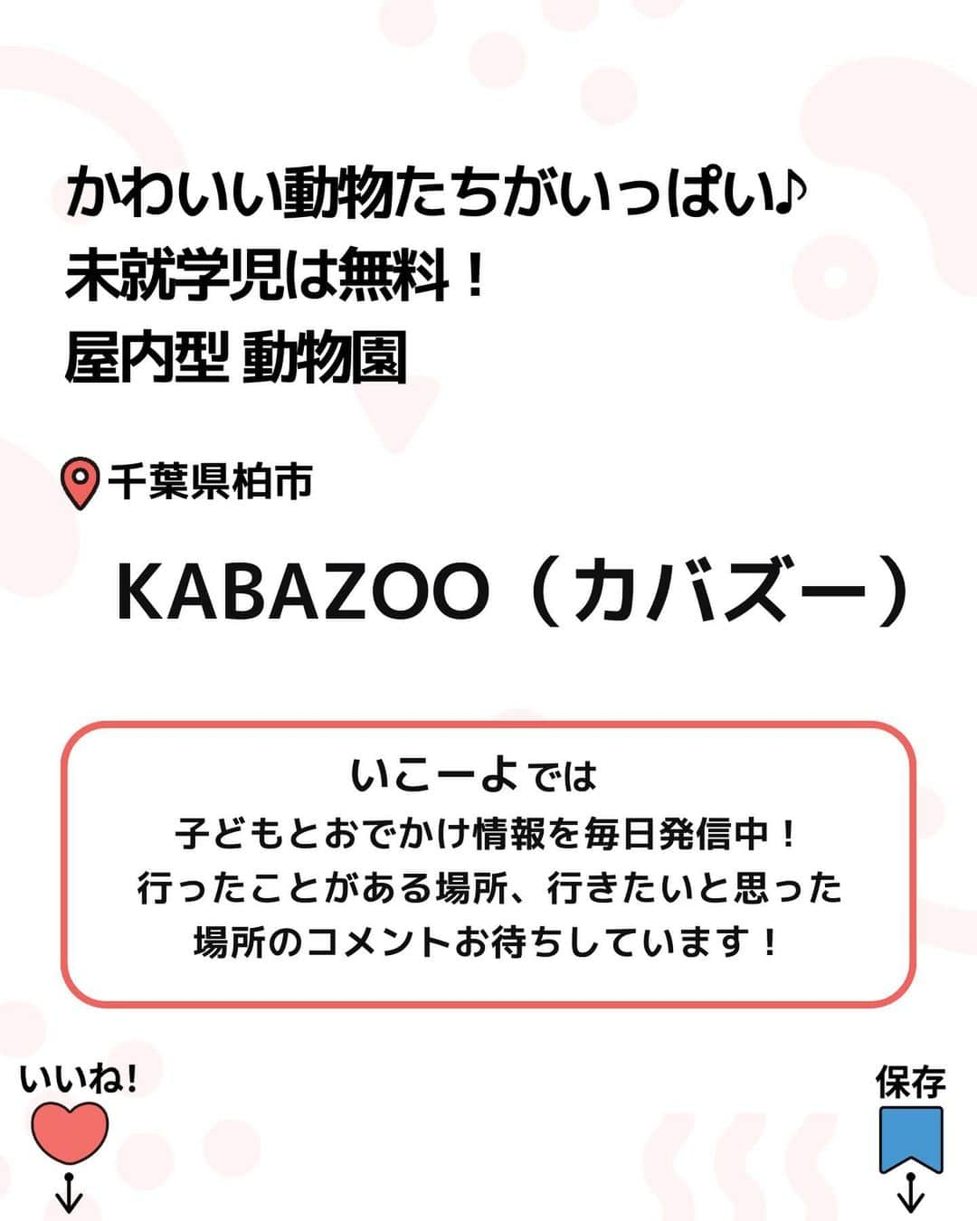 iko-yo（いこーよオフィシャル）さんのインスタグラム写真 - (iko-yo（いこーよオフィシャル）Instagram)「\保存推奨！/ 今回ピックアップしたのは「KABAZOO(カバズー) ☞ @ikoyo_odekake に他の投稿も！ ーーーーーーーーーーーーーーーーーー 【 KABAZOO(カバズー) 】 #カバズー @kabazoo_kashiwa 🌈 おすすめポイント🌈 未就学児は無料！！「癒しと学び」をテーマとする新感覚の屋内型動物園です！距離が近すぎる動物との贅沢な時間を過ごせます！室内だから雨の日も雪の日も楽しめる！一日中遊び放題で、小さなお子様から大人まで楽しめる理想の動物園になっています！  📍住所 千葉県柏市大島田1-6-1 セブンパークアリオ柏 2F  ⏰営業時間 10:00〜19:00  🎡定休日 詳しくはHPをご確認ください。  🚗アクセス 【電車の場合】 ・JR常磐線 JR成田線「我孫子」駅下車北口より「無料シャトルバス」で約25分 ・JR常磐線 東武アーバンパークライン「柏」駅下車東口より沼南車庫行バスで約25分 ・北総線 成田スカイアクセス線、新京成線、東武アーバンパークライン「新鎌ヶ谷」駅下車よりセブンパークアリオ行きバス約25分 【車の場合】 ・常磐自動車道「柏IC」を千葉方面出口から降り「国道16号線」を約11㎞直進左側 ・東関東自動車道「千葉北IC」を八千代・柏方面出口から降り「国道16号線」を約20㎞直進右側 ※各方面とも「風早工業団地入口」交差点を曲がり駐車場へお入りください。  ※2023年11月15日時点の情報です。最新の情報は公式HPをご確認下さい。　 ーーーーーーーーーーーーーーーーーーー おでかけ情報量は日本最大級！ 子どもとお出かけ情報サイト「いこーよ」 「親子でおでかけしたい場所」をご紹介させていただいています！ お子さんとのおでかけの思い出の写真を、このアカウントをフォローの上#いこーよ #いこーよおでかけ部 をつけてぜひ投稿してください。魅力的な写真は、いこーよ公式SNSで紹介させていただきます！ 募集中タグ#いこーよ #いこーよおでかけ部  「子どもと行きたい！」と思ったら保存が便利！ プロフィールのURLから「いこーよ」のサイトに行くと、他の投稿やオトクな情報などが載っています♪  #いこーよ #お出かけ #おでかけ #お出かけスポット #子連れ #子連れ旅行#こどものいる暮らし #子連れスポット#子どもとおでかけ#千葉遊び場#千葉屋内施設#千葉観光#柏#カワウソ#カピバラ#秋田犬#モルモット#ウサギ#未就学児無料」11月19日 18時30分 - ikoyo_odekake