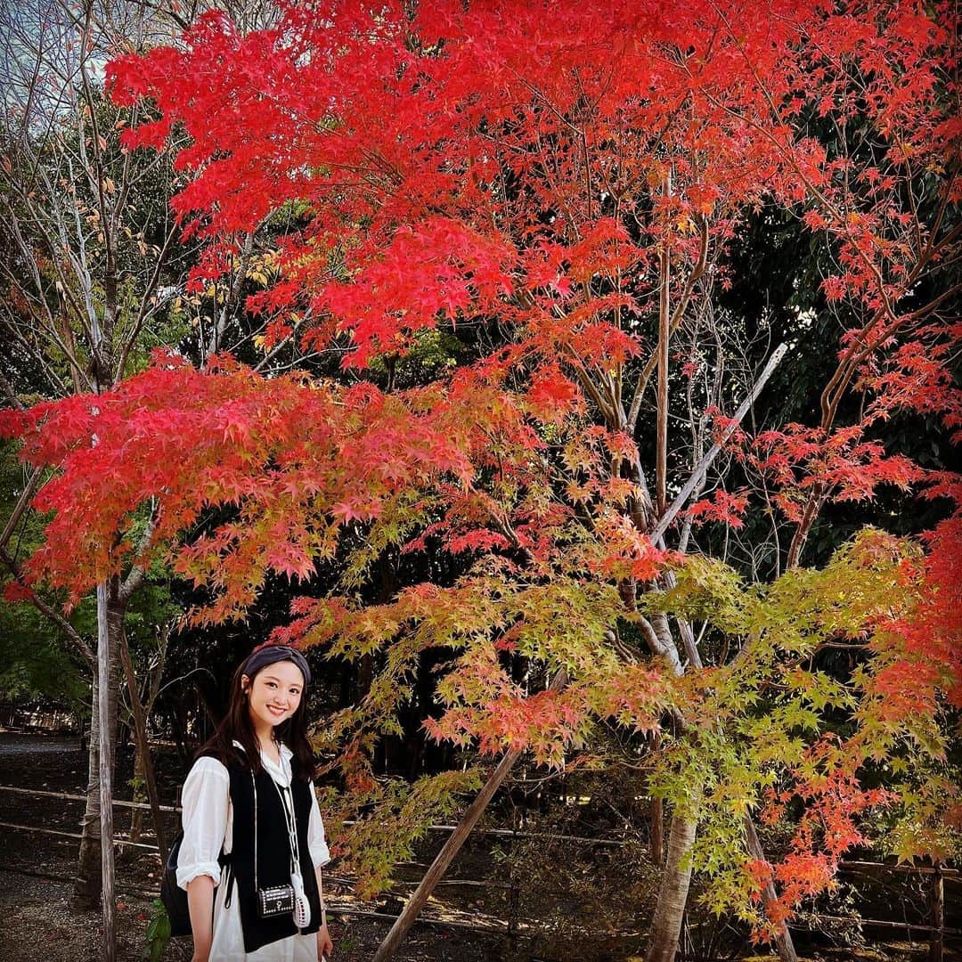 小池唯さんのインスタグラム写真 - (小池唯Instagram)「. 京都に行った時の、、⛩️🍁✨」11月19日 18時35分 - yuikoike_official