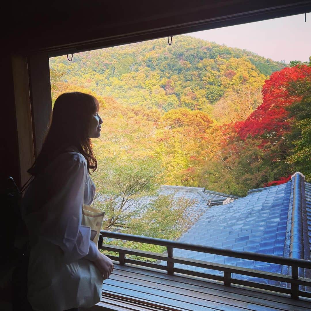 小池唯さんのインスタグラム写真 - (小池唯Instagram)「. 京都に行った時の、、⛩️🍁✨」11月19日 18時35分 - yuikoike_official