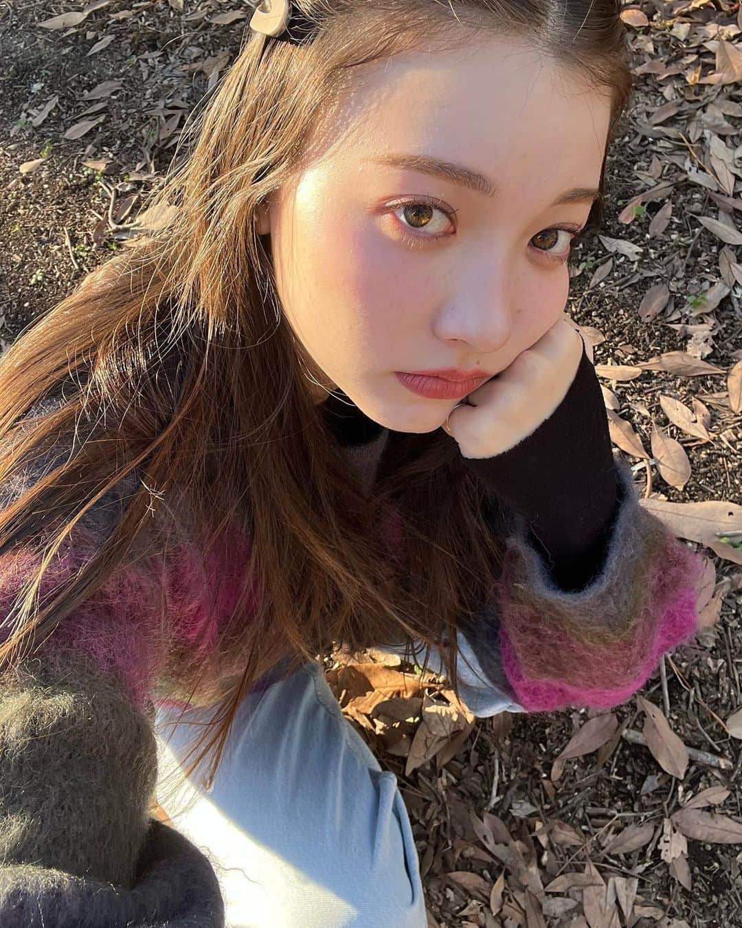 雑賀サクラのインスタグラム：「最後に秋感じた今日☺️ いいお天気、写真いっぱい #サクラノシフク」