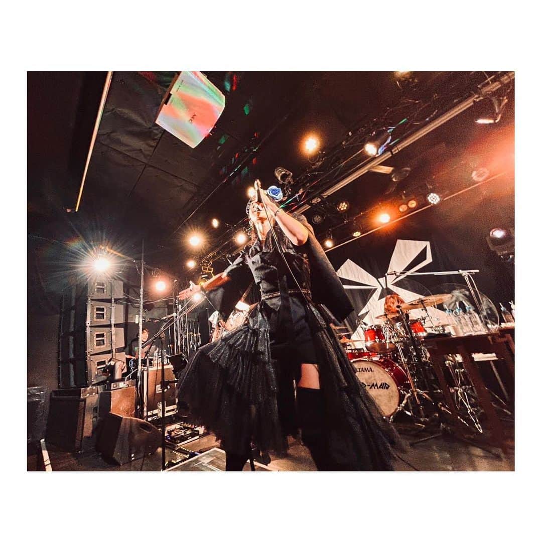 廣瀬茜さんのインスタグラム写真 - (廣瀬茜Instagram)「BAND-MAID 10TH ANNIVERSARY TOUR in JAPAN  2023.10.1@松山SALONKITTY(📷1~3) 2023.10.7@秋田Club SWINDLE(📷4～6) 2023.10.9@仙台GIGS(📷7~10)」11月19日 19時34分 - akane_bandmaid