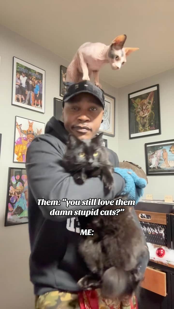 MSHO™(The Cat Rapper) のインスタグラム：「Why YES I do!! Now get outta my house!!! Yo cat people! Continue to love your cats! Don’t let these haters win! WHOS WITH US!?!? Or are we alone!? 😺🌎❤️ #TheCatRapper #CatMom #CatDad #CatDaddy #CatLady #MoGang」