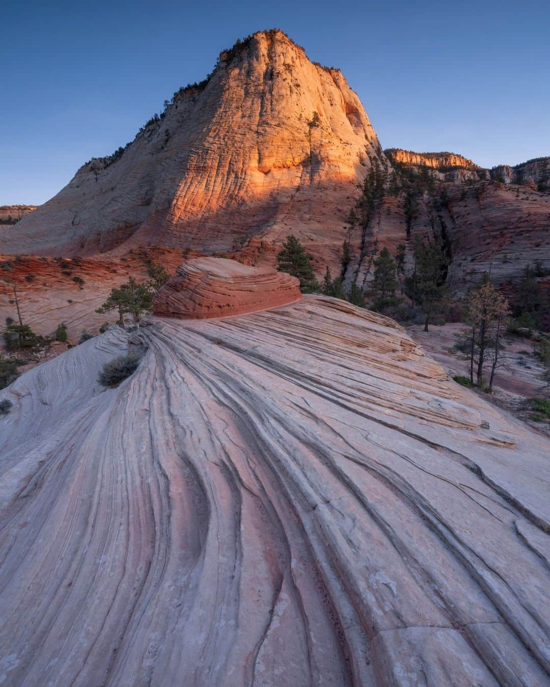 ナショナルジオグラフィックのインスタグラム：「Photo by Keith Ladzinski @ladzinski | Sitting at the intersection of the Colorado Plateau, the Great Basin, and the Mojave Desert, Zion National Park is home to a diverse array of landscapes: sandstone cliffs, upheaval domes, and mazes of canyons. To see more photos of this beautiful place visit me @ladzinski.」