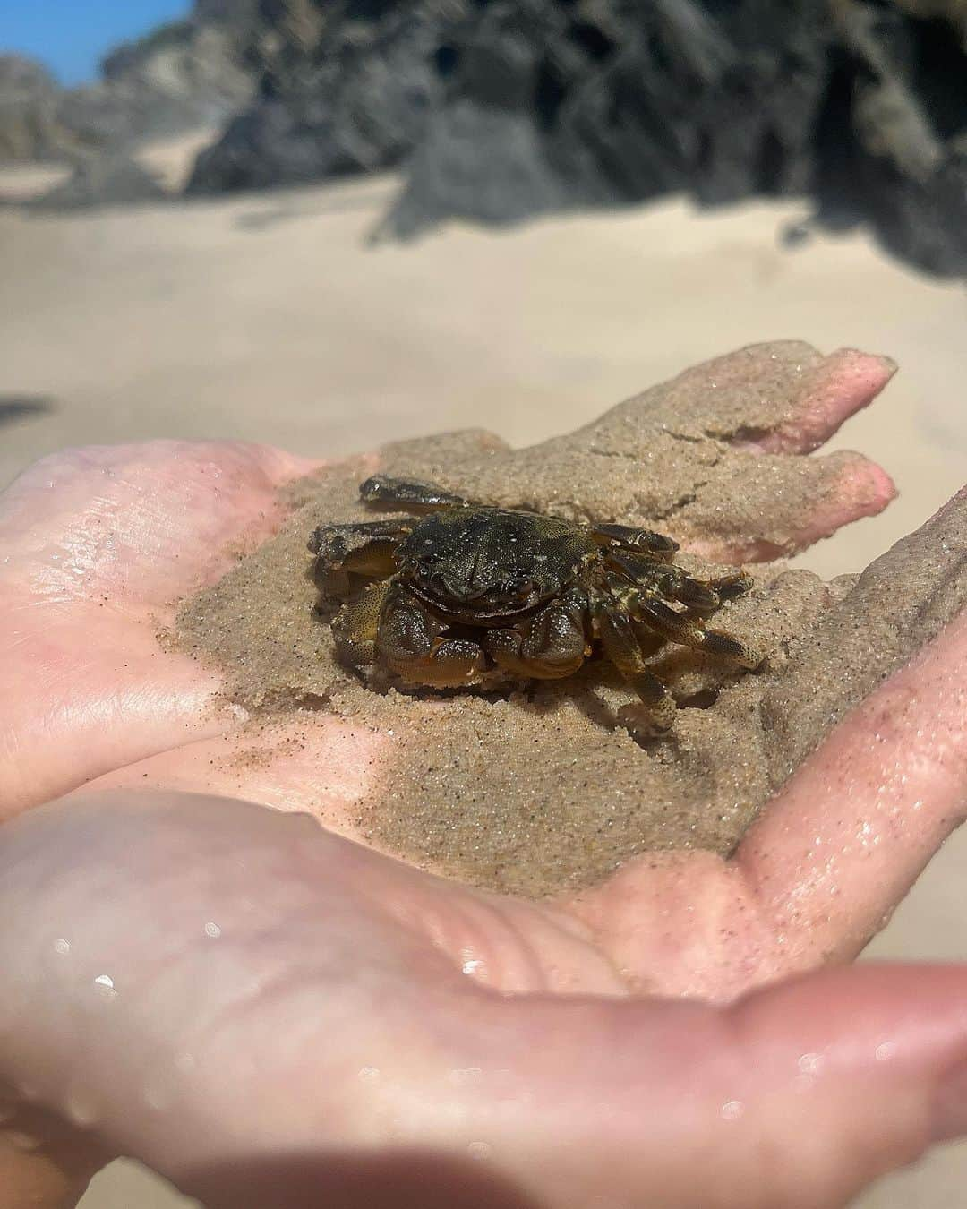 西脇梨紗さんのインスタグラム写真 - (西脇梨紗Instagram)「. Gold Coast の海は基本的に波が高いので 優雅には泳げません🦀  #australia #goldcoast #trip #オーストラリア #ゴールドコースト #オーストラリア旅行 #ゴールドコースト旅行 #旅行 #オーストラリア生活 #ゴールドコースト生活 #mytrip #海外旅行 #travel #byronbay #水着 #swimwear #beach」11月20日 6時28分 - risa_nishiwaki