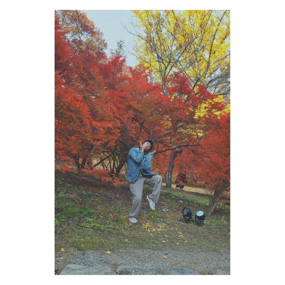 弥香のインスタグラム：「🍁🍁🍁 11月のあたま 長野の山はとっても鮮やかだった 京都はまだこれからって感じ　 11月は もう20日だと知り 早さに驚く 朝のヨガタイムのおかげで 身体バランスはいいかんじ 食事もバランスを 食物繊維とタンパク質と油分を心がけて 偏りすぎないように 調子良き よきよき 毎晩ビールのむが お酢ものむ いい感じ」