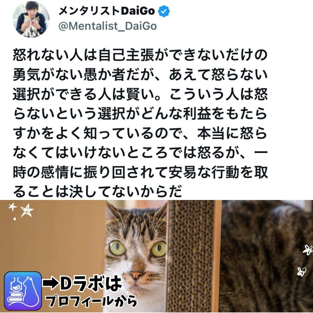 メンタリストDaiGoのインスタグラム：「🐈本日の名言📚 プロフィールからDラボもみてね  #心理学 #メンタリスト #dラボ  #dラボはプロフィールから」