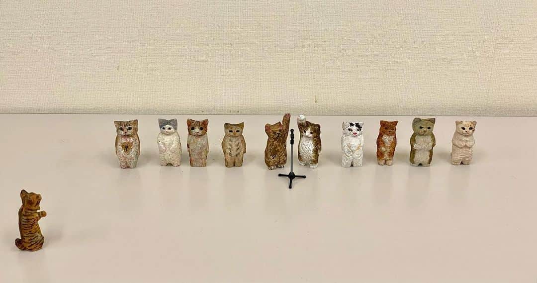 花房さくらのインスタグラム：「「宣誓！わたしたち本日の彫刻講座で生まれた猫たちは、作り主さんに感謝の気持ちを忘れず、忠誠を尽くすことを誓います！」  ﾊﾟﾁﾊﾟﾁﾊﾟﾁﾊﾟﾁ  「はーい、みなさん帰りますよー、1号車はこっちでーす」 「2号車はこちらでーす」  本日の彫刻講座で誕生した猫たちです。  #nhk文化センター西宮ガーデンズ教室  #woodcarving #cat #sculpture #hanafusasakura」