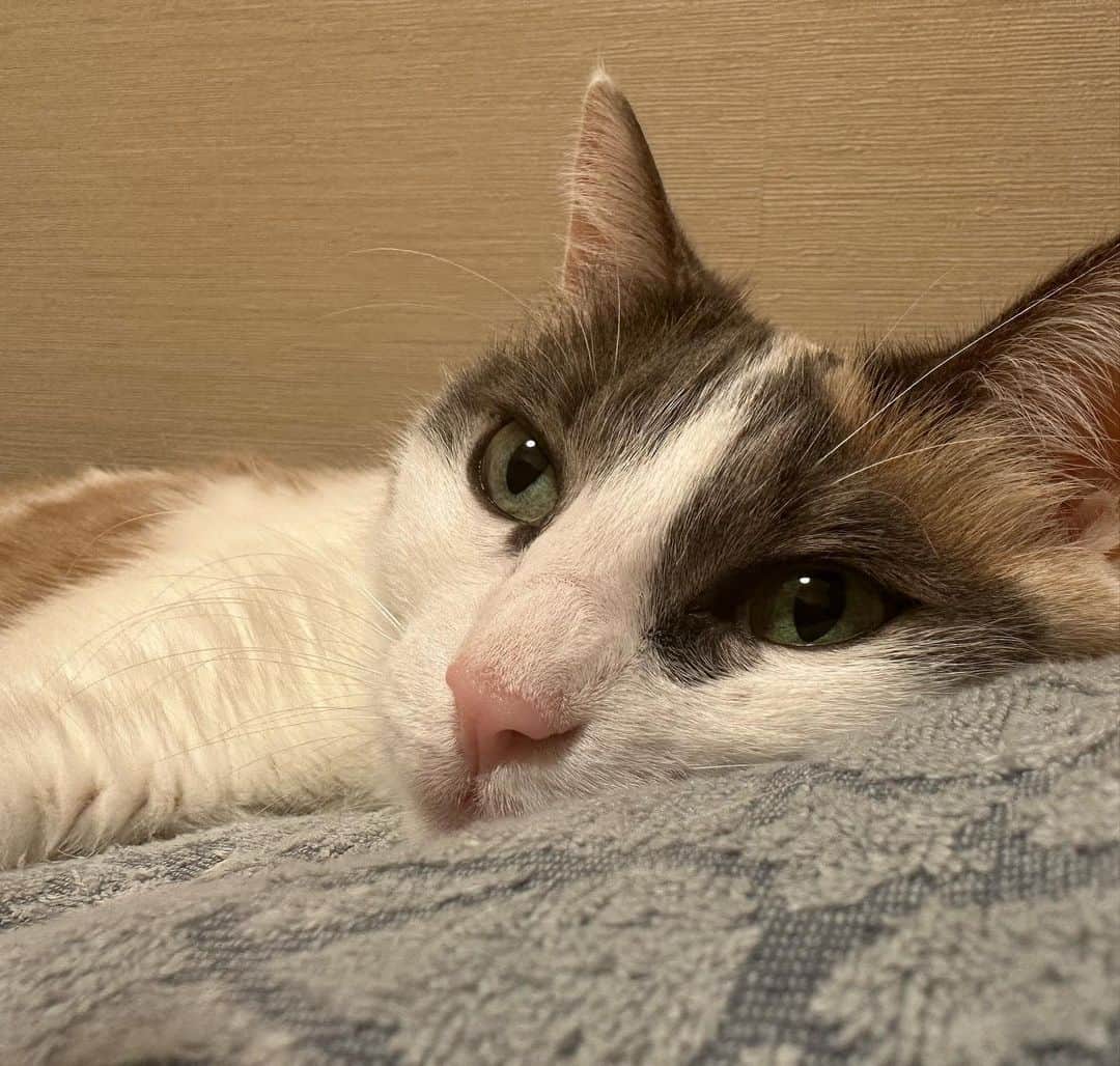 momo0224momomoのインスタグラム