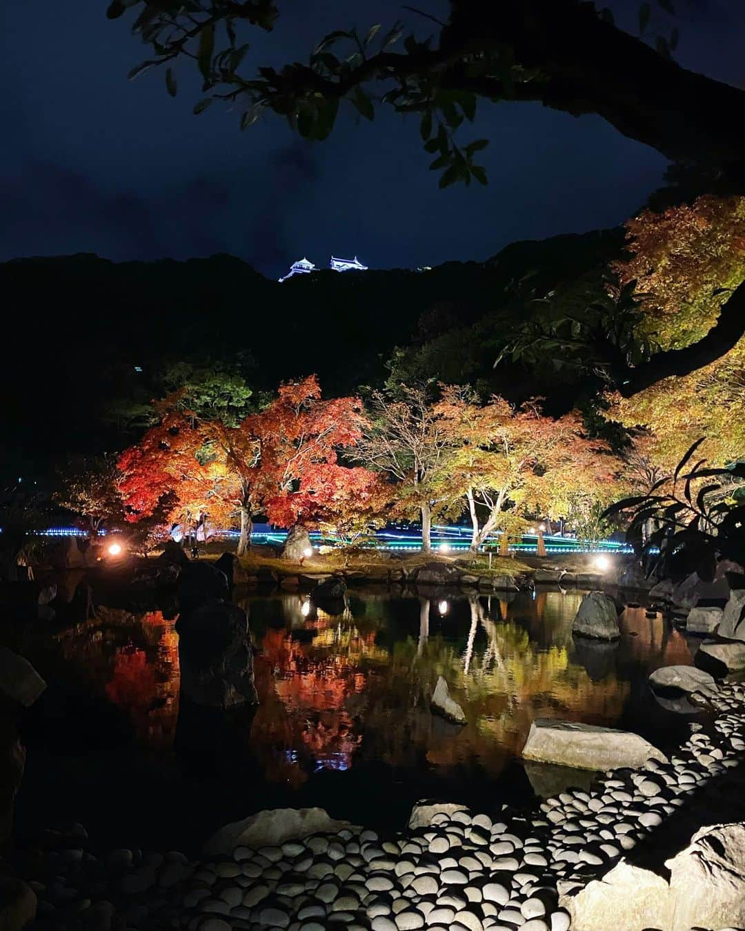 滝香織さんのインスタグラム写真 - (滝香織Instagram)「. . 先ほど#松山城 の#二之丸史跡庭園 に、#紅葉のライトアップ の取材に行ってきました！！  ヤマモミジが照らされて幻想的🍁 灯篭も並び、艶やかな雰囲気も✨  明日20日のNスタえひめで放送予定です。 カメラマンさんが美しい映像を撮ってくれたので、ぜひ見てください😆 そして、現地にも行ってみてほしい！！ しみじみと美しくて好きでした☺️  #紅葉 #紅葉スポット #愛媛紅葉 #ヤマモミジ #ライトアップ #紅葉ライトアップ」11月19日 22時27分 - kaorin_taki