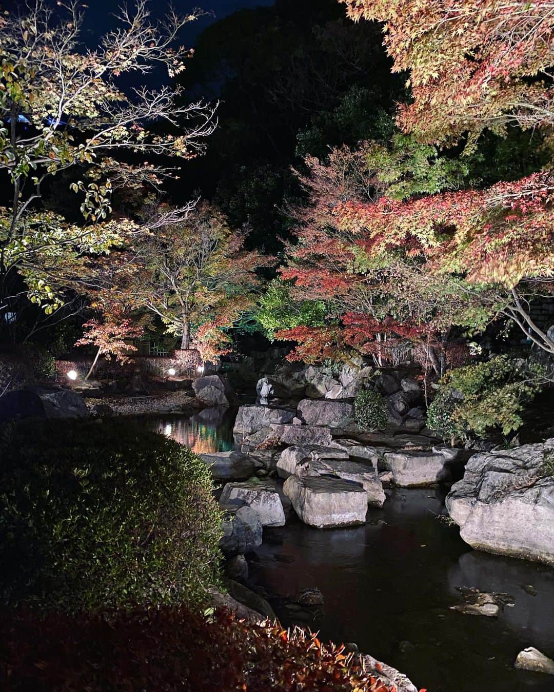 滝香織さんのインスタグラム写真 - (滝香織Instagram)「. . 先ほど#松山城 の#二之丸史跡庭園 に、#紅葉のライトアップ の取材に行ってきました！！  ヤマモミジが照らされて幻想的🍁 灯篭も並び、艶やかな雰囲気も✨  明日20日のNスタえひめで放送予定です。 カメラマンさんが美しい映像を撮ってくれたので、ぜひ見てください😆 そして、現地にも行ってみてほしい！！ しみじみと美しくて好きでした☺️  #紅葉 #紅葉スポット #愛媛紅葉 #ヤマモミジ #ライトアップ #紅葉ライトアップ」11月19日 22時27分 - kaorin_taki