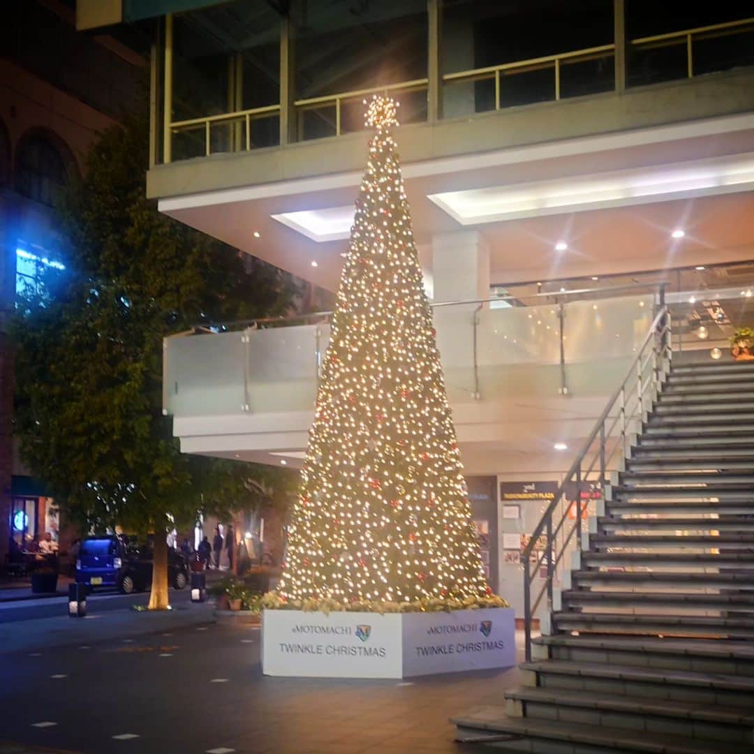 nest hairsalonのインスタグラム：「． ✨🎄✨  明日は第３月曜日 メンテナンス日で 営業はお休みになります  次の営業日は22日(水)になります よろしくお願いいたします」