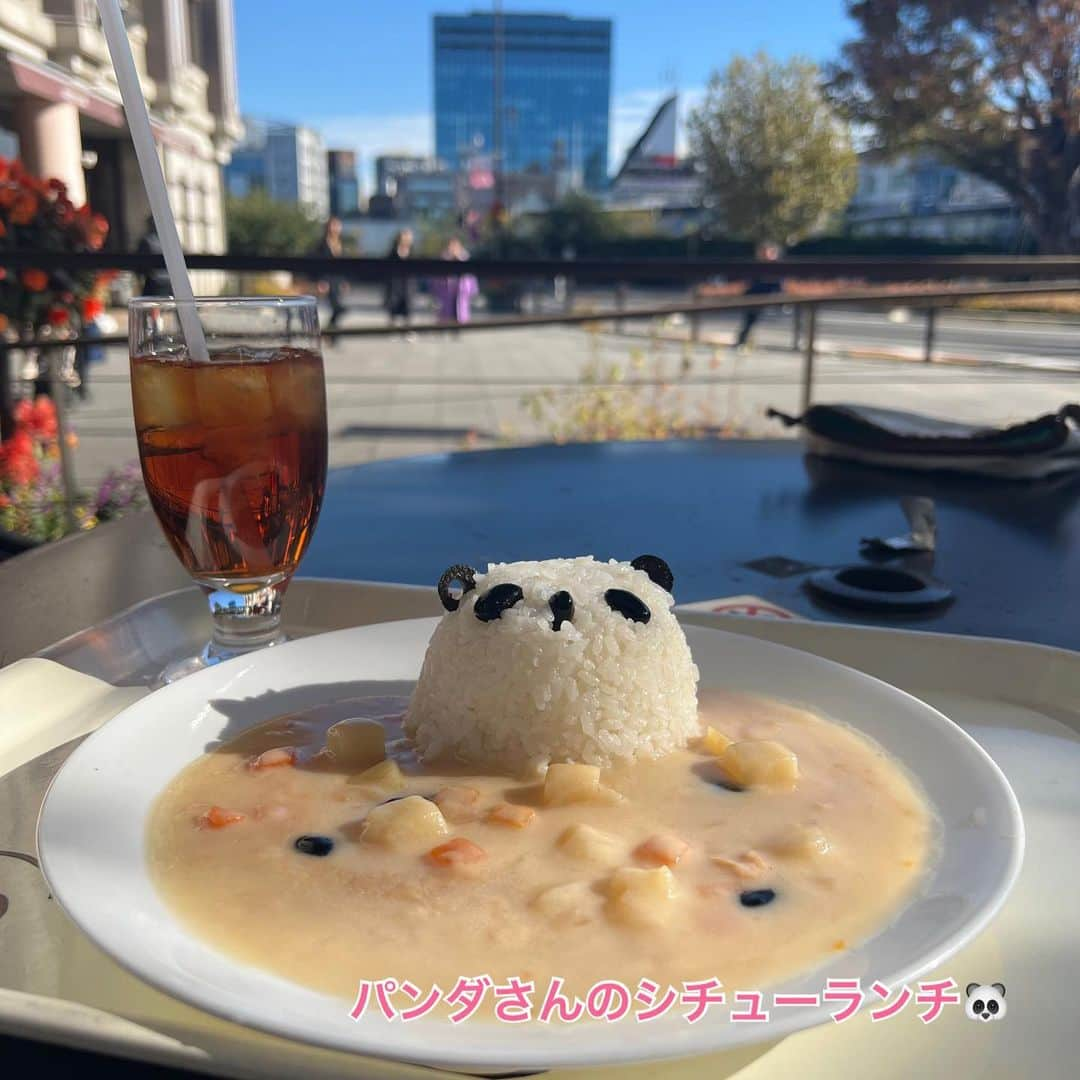 江口ともみさんのインスタグラム写真 - (江口ともみInstagram)「ゆうこだよ❣️東京バレエ団の新作 「眠れる森の美女」観てきたの💕  あのね、プリンシパルでオーロラ姫役の秋山瑛(あきら)ちゃんはね、前にかあさんがアサ秘ジャーナルで取材した時に案内役やってくれたお姉さんでね、プライベートでも実はお友達になったの✨デジレ王子役の宮川新大お兄さんも取材したんだよねぇ  舞台でのお衣装写真がないから残念なんだけど、すーっごく可愛かったし、バレエは本当に美しくて素敵だなって思った✨あと凄い筋力なのに、とても軽やかなんだよねぇ  でね、トウシューズ、つま先で立つ事をポワントって言うらしいからそのまんま「ポワント」と呼ぶらしいんだけど、消耗品なんだよね🩰  だから「ポワント基金」っていうのがあるみたい✨素敵なバレエの為にあたしのお小遣い貯めて協力しよーっと💕 私もバレエのチュチュ着てみたいなぁ😆  #fumofumosan #フモフモさん #ゆうこ #東京バレエ団#バレエ #thetokyoballet  #眠れる森の美女 #thesleepingbeauty  #東京バレエ団プリンシパル  #秋山瑛ちゃん  #オーロラ姫 #宮川新大くん  #デジレ王子 #上野#東京文化会館 #パンダシチュー🐼」11月19日 22時34分 - tomomin.eguchi