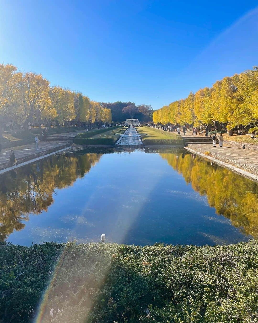 上杉桜子さんのインスタグラム写真 - (上杉桜子Instagram)「昭和記念公園に行ってきました！ 黄金色のイチョウ並木が圧巻でした🍁 広場で凧あげやシャボン玉をしたり、のんびり寝転がったり、リフレッシュできました😌  #昭和記念公園 #紅葉狩り #イチョウ並木 #凧あげ日和 #家族のんびり休日 #4歳女の子 #9ヶ月男の子」11月19日 22時47分 - sakurakouesugi