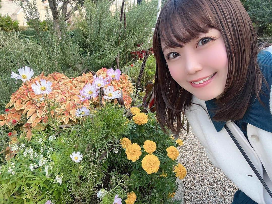 嶋梨夏さんのインスタグラム写真 - (嶋梨夏Instagram)「コスモスが綺麗に咲いていて癒されました☺️💓 . . . . . #被写体 #お仕事依頼受付中 #紅葉 #秋 #西宮ガーデンズ #兵庫 #宝塚 #むちむち #ぷに子 #アラサー女子 #平成元年生まれ #150cm #ファインダー越しの私の世界 #ポートレート #ポートレート撮影 #女優 #actress #photooftheday #JAPAN #japanesegirl #instagood #followme #ricashima #嶋梨夏」11月19日 23時09分 - shimarica_jp