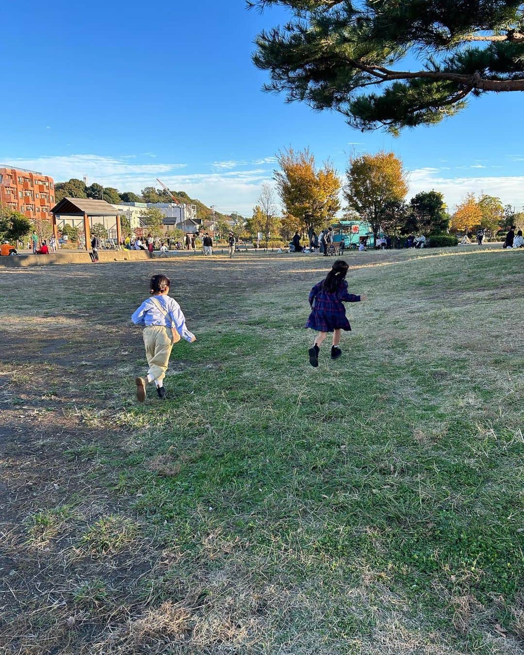 安めぐみさんのインスタグラム写真 - (安めぐみInstagram)「今日も元気いっぱいでした☺️👧🏃‍♀️✨🍂  #日曜日 #元気いっぱい #良いお天気でした #お出かけ #今日もお疲れ様でした☺️」11月19日 23時16分 - yasu_megumi_official