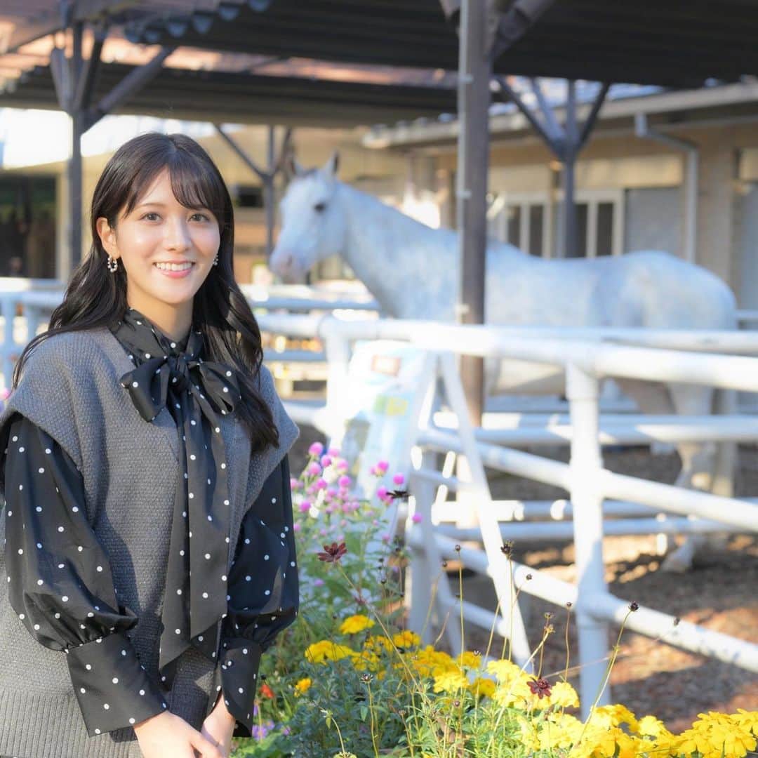 石川彩夏のインスタグラム：「今日はお仕事の合間に時間があったので、東京競馬場へ🐴  シロニイに久しぶりに会えたのですが 表情が柔らかくなってて ウルッときてしまいました🥺  私が見てきたのは、競走馬としてのシロニイ  引退して、穏やかな馬生を歩んでいるのが わかって嬉しくなりました。  気候も丁度よく、ウトウトしてるシロニイも見れて このイベントを企画してくれた方に 「こんな姿見せて頂きありがとうございます🙇‍♀️(ぐへへへへ)」 と言いたいくらいでした🥺⚠︎︎“ぐへへへへ“は、石川心の声。笑  誘導馬デビューしたら、また違った表情のシロニイが見れるんだろうなぁ〜  ジャパンカップの日まで、シロニイ🤍と会えるチャンスはありますので ぜひ、土日東京競馬場来る予定の方は 今まで見た事ない表情のシロニイを見に行きましょー😆✨  （一枚目のお写真は他のファンの方に迷惑にならないよう、一番端からツーショット撮らせて頂きました🥺）」