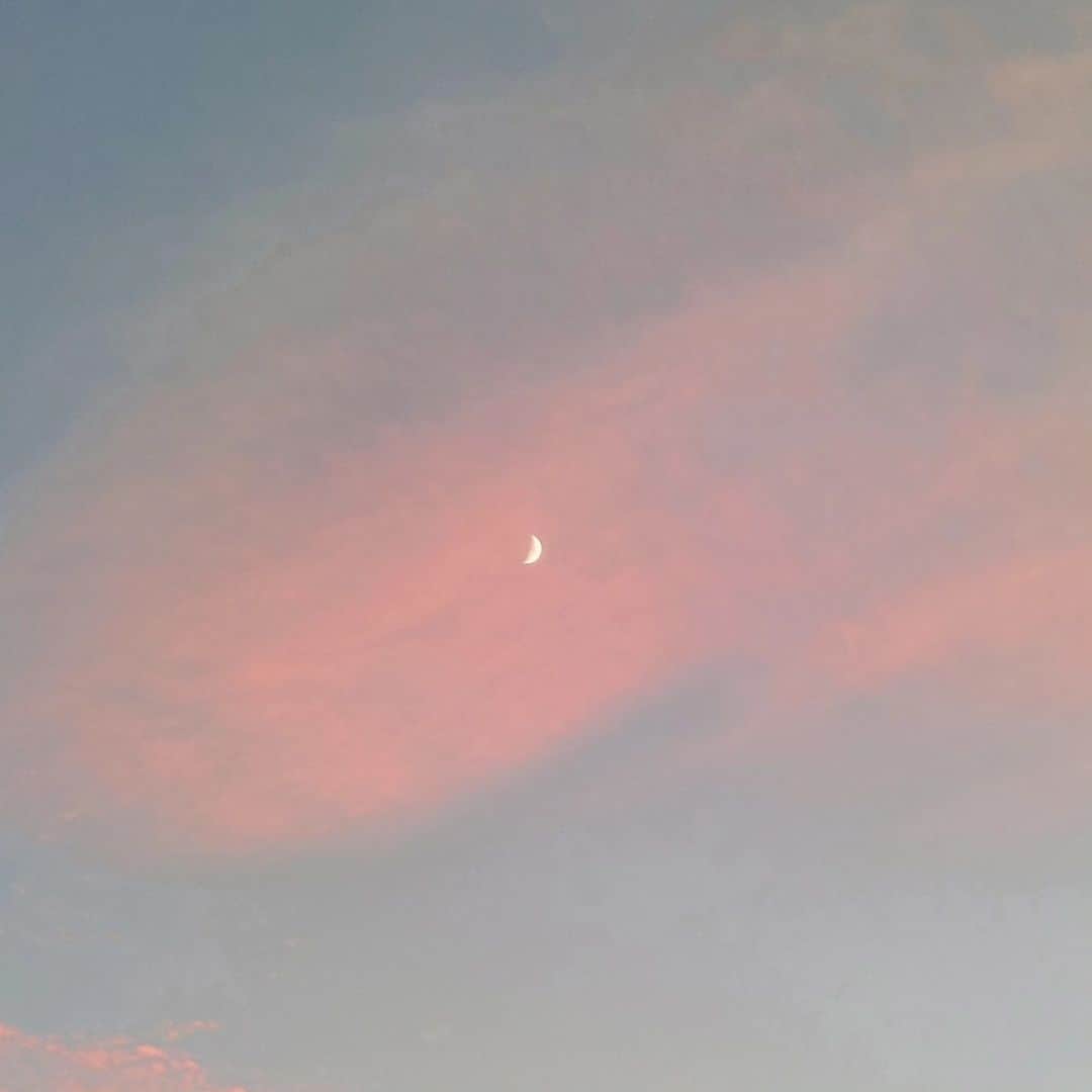 竹内都子さんのインスタグラム写真 - (竹内都子Instagram)「今日は富士山🗻キレイだったね～✴️ 夕焼けも‼️  #富士山  #夕焼け  #冬の景色  #犬の散歩」11月19日 23時43分 - miyako_ciao