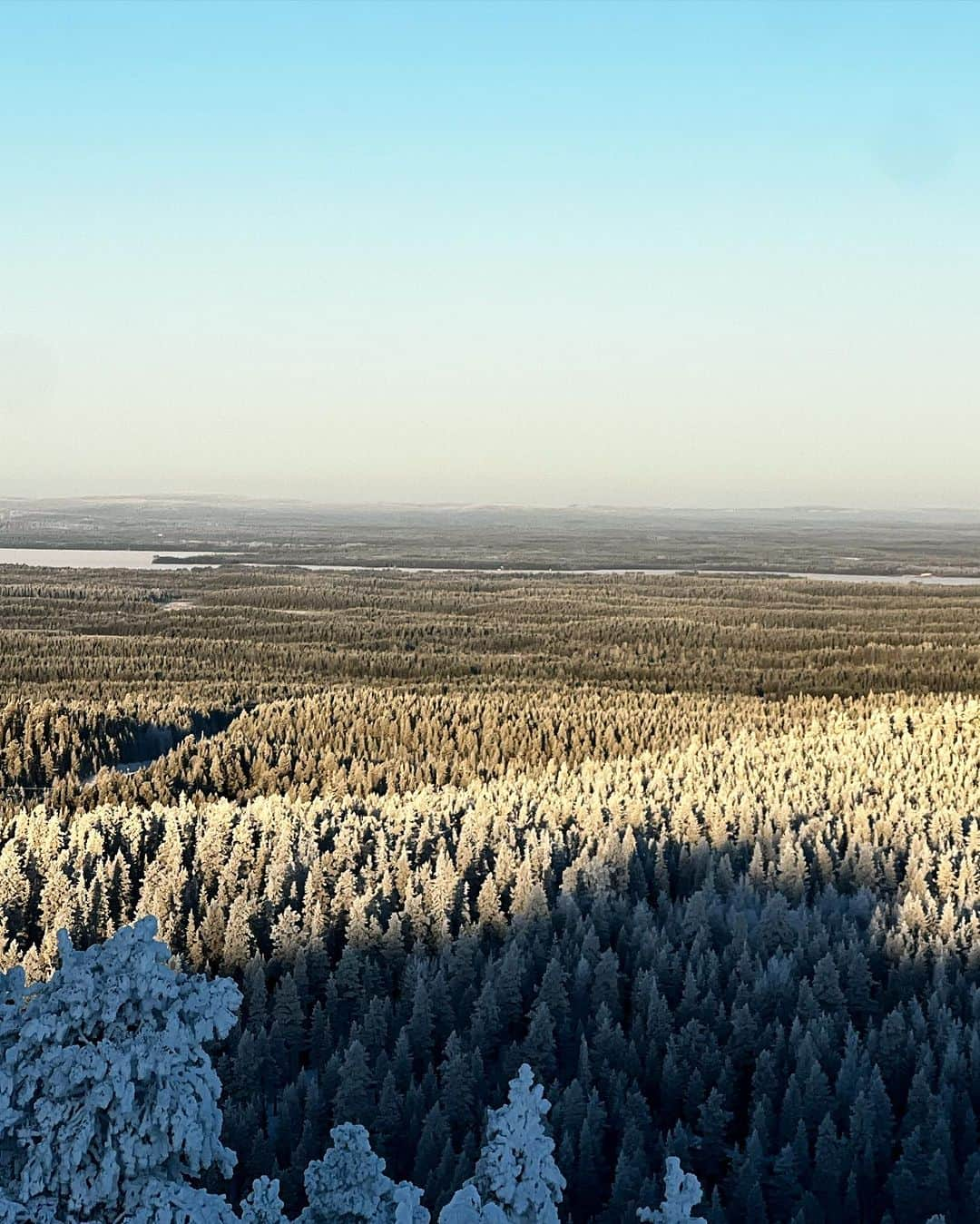 佐々木明さんのインスタグラム写真 - (佐々木明Instagram)「That’s why glowed my mind.  #finland #training #focus #experience #journey  #lifegoeson #levi #ruka #kittila #scandinavia #winterwonderland   普通に生活しようとしていた9年間 自分なりの普通を模索していましたが この生活に戻る事を選べて また刺激による 成長を味わえています。  この後の人生もきっと僕は水（雪）に接して生きて行くんだろう そう感じています。  しかし極度に集中して日々を過ごすのは後2年と決め 残りを最大限費やすと決め  そしてまた自然の美しくも険しい山へ戻ろうと思います」11月20日 0時05分 - akiraexploring