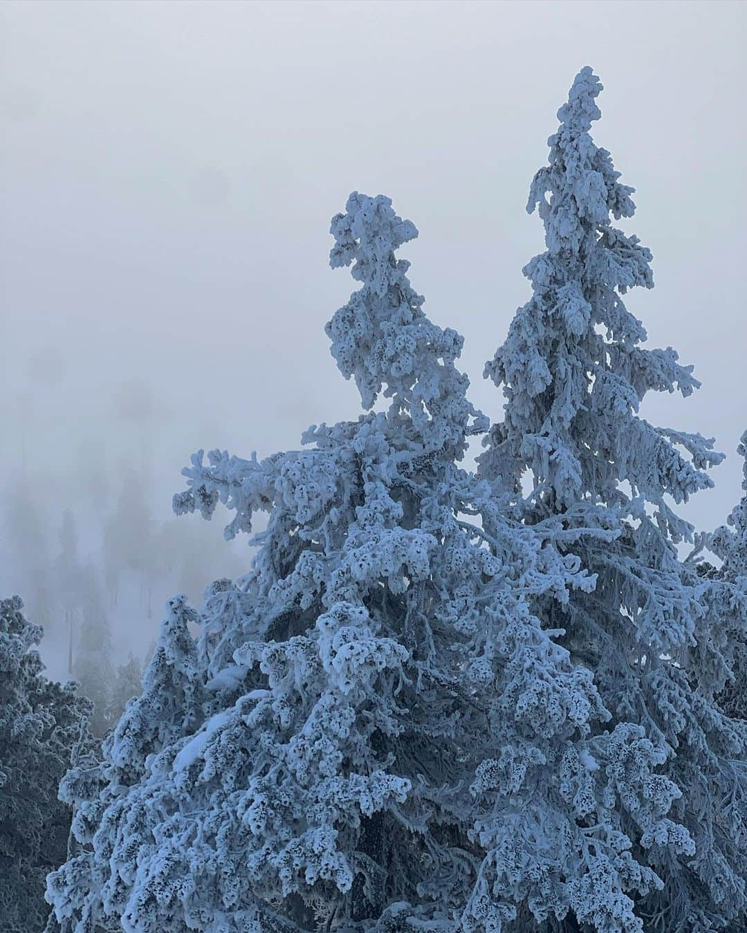 佐々木明さんのインスタグラム写真 - (佐々木明Instagram)「That’s why glowed my mind.  #finland #training #focus #experience #journey  #lifegoeson #levi #ruka #kittila #scandinavia #winterwonderland   普通に生活しようとしていた9年間 自分なりの普通を模索していましたが この生活に戻る事を選べて また刺激による 成長を味わえています。  この後の人生もきっと僕は水（雪）に接して生きて行くんだろう そう感じています。  しかし極度に集中して日々を過ごすのは後2年と決め 残りを最大限費やすと決め  そしてまた自然の美しくも険しい山へ戻ろうと思います」11月20日 0時05分 - akiraexploring