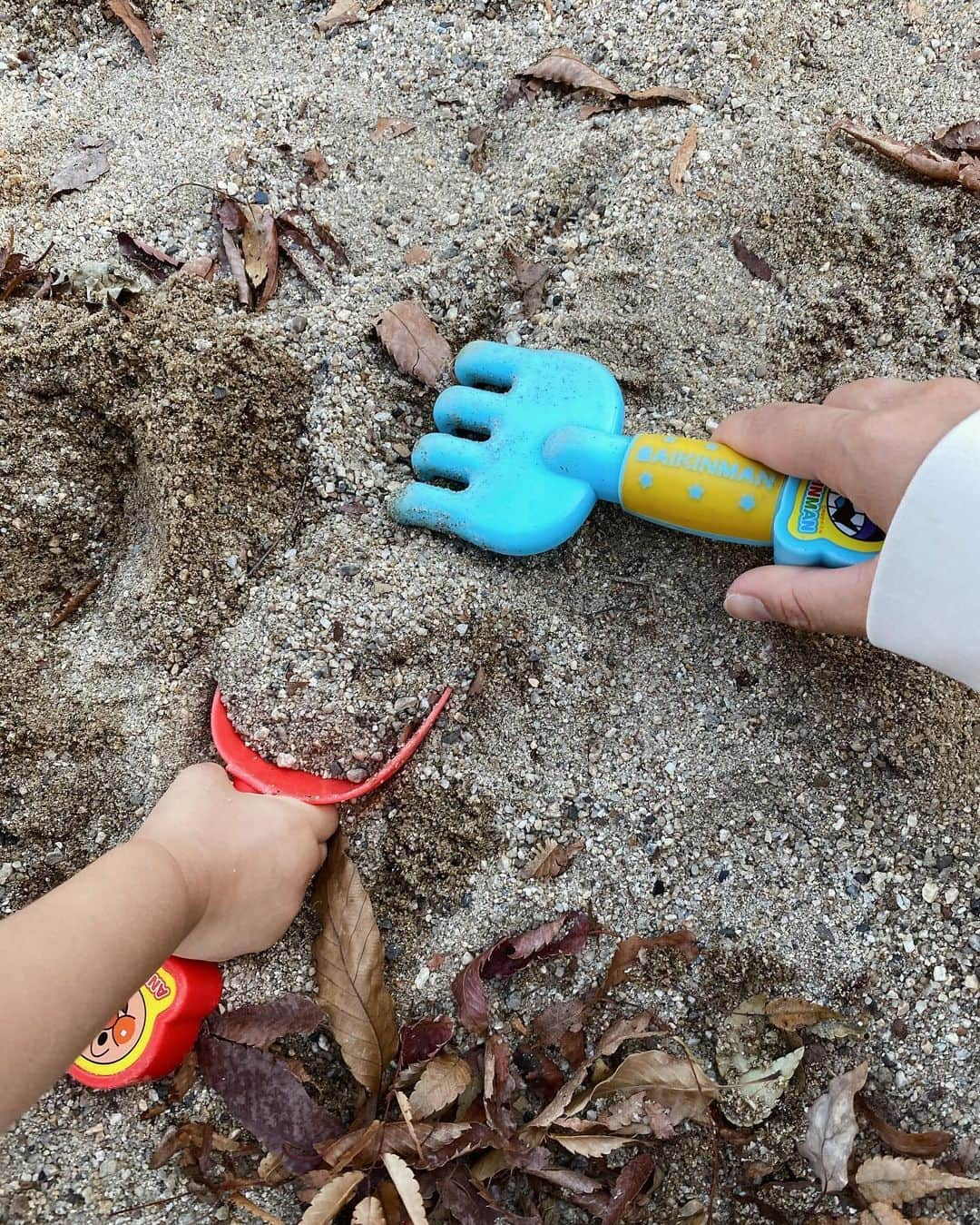 石川マリーさんのインスタグラム写真 - (石川マリーInstagram)「家族で公園な日🫶🏻 公園もすっかり秋冬な雰囲気になってきた🍁  どんぐりを拾ったり、落ち葉を踏んだり 今の季節だからこそ出来る遊び方をする娘👧🏻 なんかこういうの…いいね😌✨  いつもはママと二人だけれど パパが一緒だととっても嬉しそう🎶  それもそのはず！！最近パパへの愛が止まらず ますますパパ大好き＆甘えん坊になっているの🤭💕  👨🏻❤️👧🏻 ． ． ． ． ． ． ． #公園 #日曜日 #休日 #家族 #こどものいる暮らし #子供のいる暮らし #2歳  #女の子 #ママ #ママライフ #女の子ママ #アラフォーママ #大阪ママ #関西ママ #ママスタグラム」11月20日 0時03分 - marieishikawa