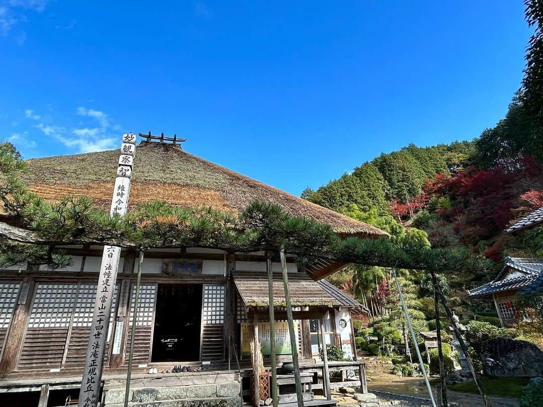 八、おこめさんのインスタグラム写真 - (八、おこめInstagram)「秋の見仏🍁 ① @tasshinji #達身寺 茅葺き屋根の風情ある本堂 ２つある宝物殿で奥の方にある宝物殿の戸を開けると 見上げるほどの大きく立派な本尊・阿弥陀如来坐像と 左脇侍の十一面観音坐像、右脇侍の薬師如来坐像が並んでいる🙏✨鎌倉初期の制作とされている。 お父はんとしばらく仏像さんに見入ってしまってゆっくりしすぎたくらい素敵だった❣️ 住職さんご家族も気さくにお話して下さりとても楽しい見仏でした🙏 お庭もとても素敵で、綺麗にお手入れされていて紅葉もとてもキレイでした〜✨ お父はんも楽しそうに写真パシャパシャ撮ってたな 住職さんがおすすめの時間帯は夕方で、夕日に照らされた紅葉がとても美しいそうです✨ 水仙もカタクリもコスモスの時期もまた行きたいな〜♩ この日の私の最大のミスは、見仏記でMJとせいこうさんが来たお寺さんて知ってたのにセイチャン連れてくの忘れたことーーー💦次回は必ずセイチャンも連れてく！！ 仏像さん達が素敵すぎるんで❣️ぜひたくさんの人に見仏して頂きたいです🙏 (※仏像のお写真はHPよりお借りしました以下HPより) 奈良時代に行基によって開創されと言われていて 謎が多く残る、丹波地域で最も古いお寺の一つと言われています。 別名「丹波の正倉院」の名を持ち 平安・鎌倉時代の仏像80余体を所蔵し、そのうち12体が国の重要文化財、34体が県の文化財に指定されています。 #西国四十九薬師霊場 #丹波古刹十五ヶ寺霊場 #見仏 #古刹 #仏像 #宇野の神社仏閣巡り #丹波市 #寺 #お寺さん」11月20日 0時03分 - naomiuno