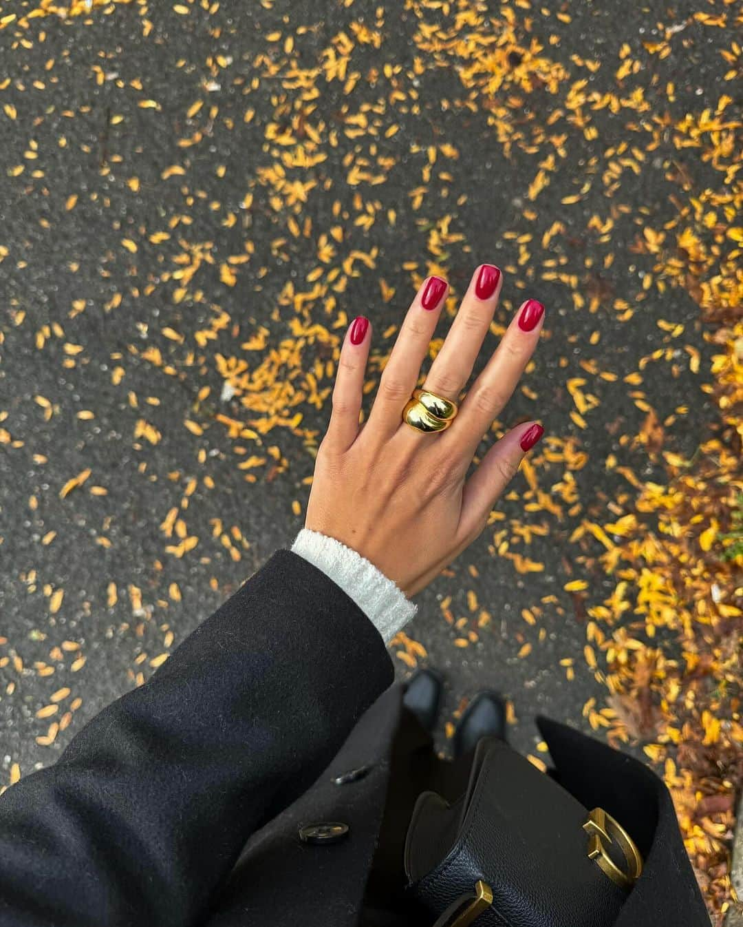 Cosmopolitanのインスタグラム：「We’re in peak season for deep, rich fall manicures. Think: moody browns, rich maroon, and earthy greens. Need a lil more inspo for your next appointment? Link in bio for what the experts are loving rn. 💅  #rg @alenapolackova」