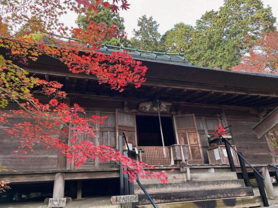 八、おこめさんのインスタグラム写真 - (八、おこめInstagram)「秋の見仏🍁 ② #大国寺 拝観をお願いすると住職さん直々にお寺と仏像さんの説明をして下さる🙏 しかも！！ラッキーな事に本堂も住職さんも宇野夫婦だけの貸し切り状態✨ ほんで内陣まで入らせていただいて〜仏像さんの写真まで撮らせて頂いて❣️なんと贅沢すぎる見仏でしょう🙏✨ 住職さんのお話もめっちゃ面白くて笑ったw しかもお父はんのチャリの話したら『境内で乗って写真撮ってイイよ！』と快く仰っていただき、めっちゃステキな写真撮れました〜♩(→5枚目) 紅葉もまだまだ見頃で真っ赤っか✨ 紅葉もすごくキレイだけど、紅葉より何よりこちらのお寺さんの造りと仏像さんがかっこ良すぎる〜❣️ ぜったい住職さんのお話聞かせていただきながら見仏して下さい🙏 こちらのお寺さんも住職さんご家族が気さくでほっこりしました（´ᴗ`）♡ 大国寺さんも見仏記が来たお寺さんで、住職さんがMJとせいこうさんと一緒に撮った写真見せてくれて、ギャー♡っとテンション上がりました♩ 次回はぜったいセイチャン連れてリベンジ見仏や〜！！ (※仏像の写真もチャリの写真も許可を頂いて撮影・投稿しています) 以下HPより〜 本堂 : 室町時代初期に建てられた唐様と和様の折衷様式。 昭和36年国指定重要文化財に指定 仏像 : 薬師如来坐像、大日如来坐像、阿弥陀如来坐像、持国天立像、増長天立像 5体とも藤原時代作、大正11年国指定重要文化財に指定 【 薬師如来坐像 】 ご本尊 「一仏三身」を表し、光景や宝冠、蓮華座など藤原時代特有のものが揃った珍しい逸品で貴重な仏像です 【 大日如来坐像・阿弥陀如来坐像 】 が脇侍仏として安置されております 【 持国天立像・増長天立像 】 藤原時代の様式と日本人の畏怖感をよく伝えている藤原時代の傑作です #古刹 #見仏 #仏像 #丹波篠山市 #宇野の神社仏閣巡り #お寺さん #寺」11月20日 1時04分 - naomiuno